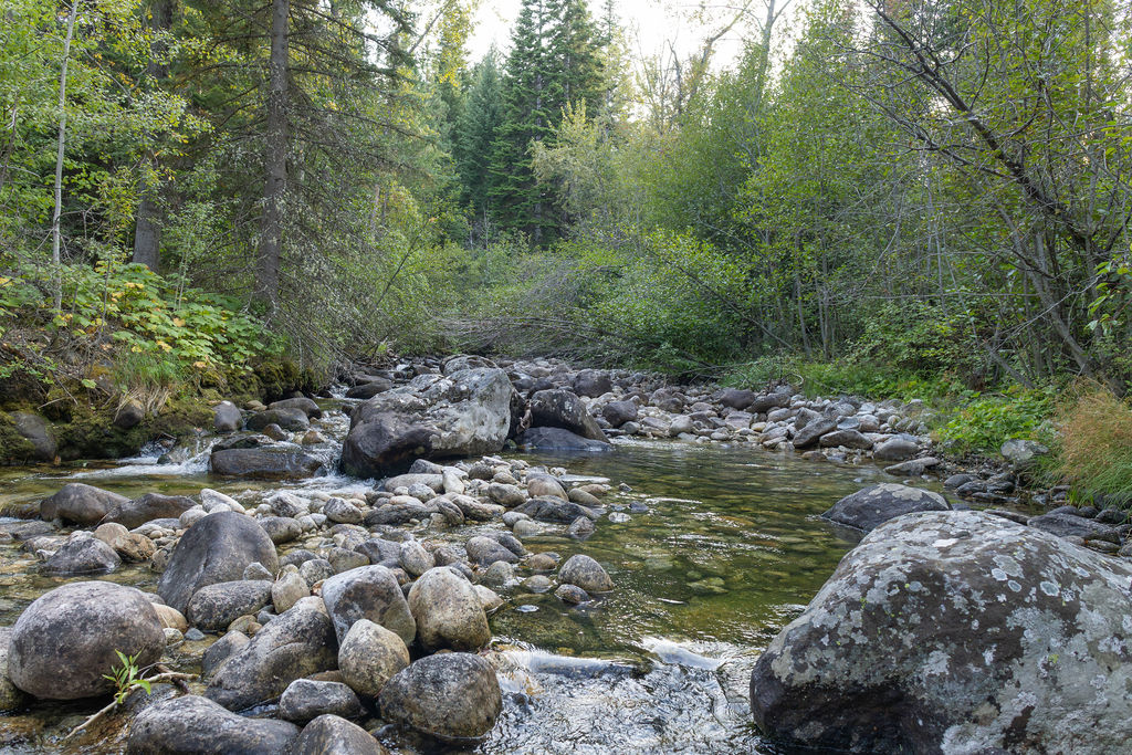 2044 Night Hawk Trail Property Photo 80