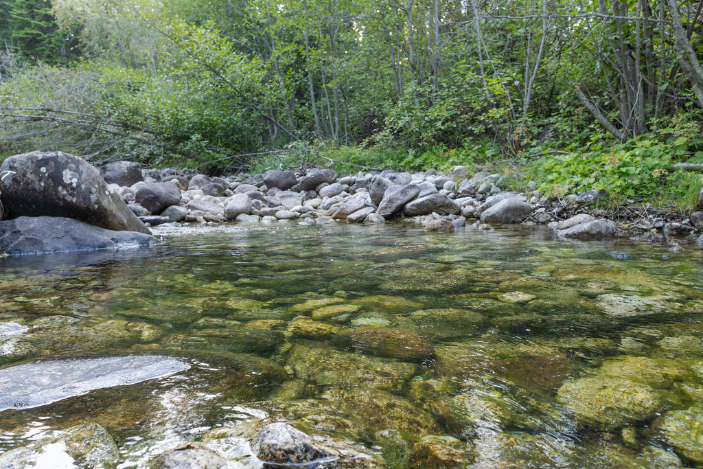 2044 Night Hawk Trail Property Photo 81
