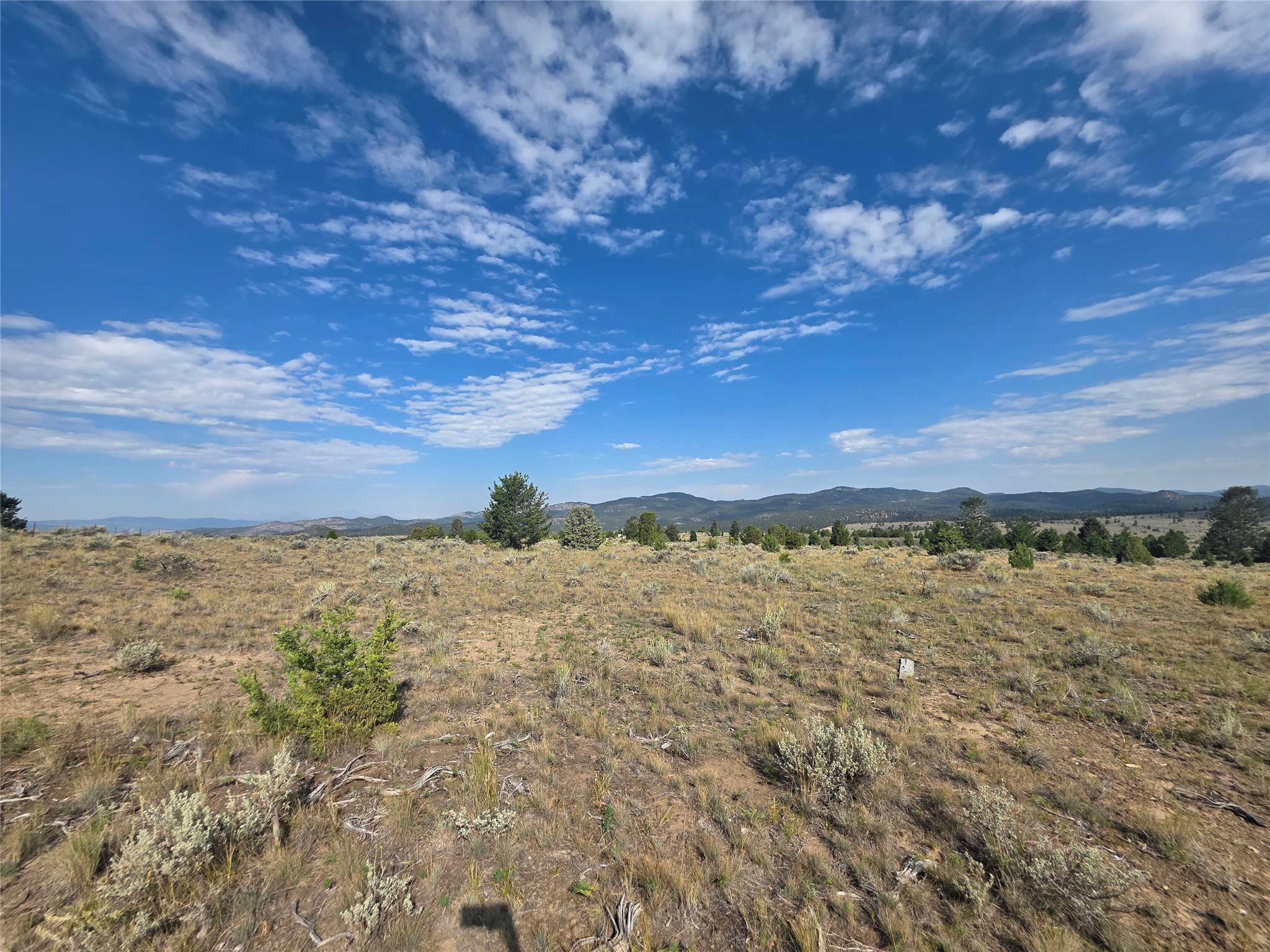 Nhn Prevost Trail Property Photo 6