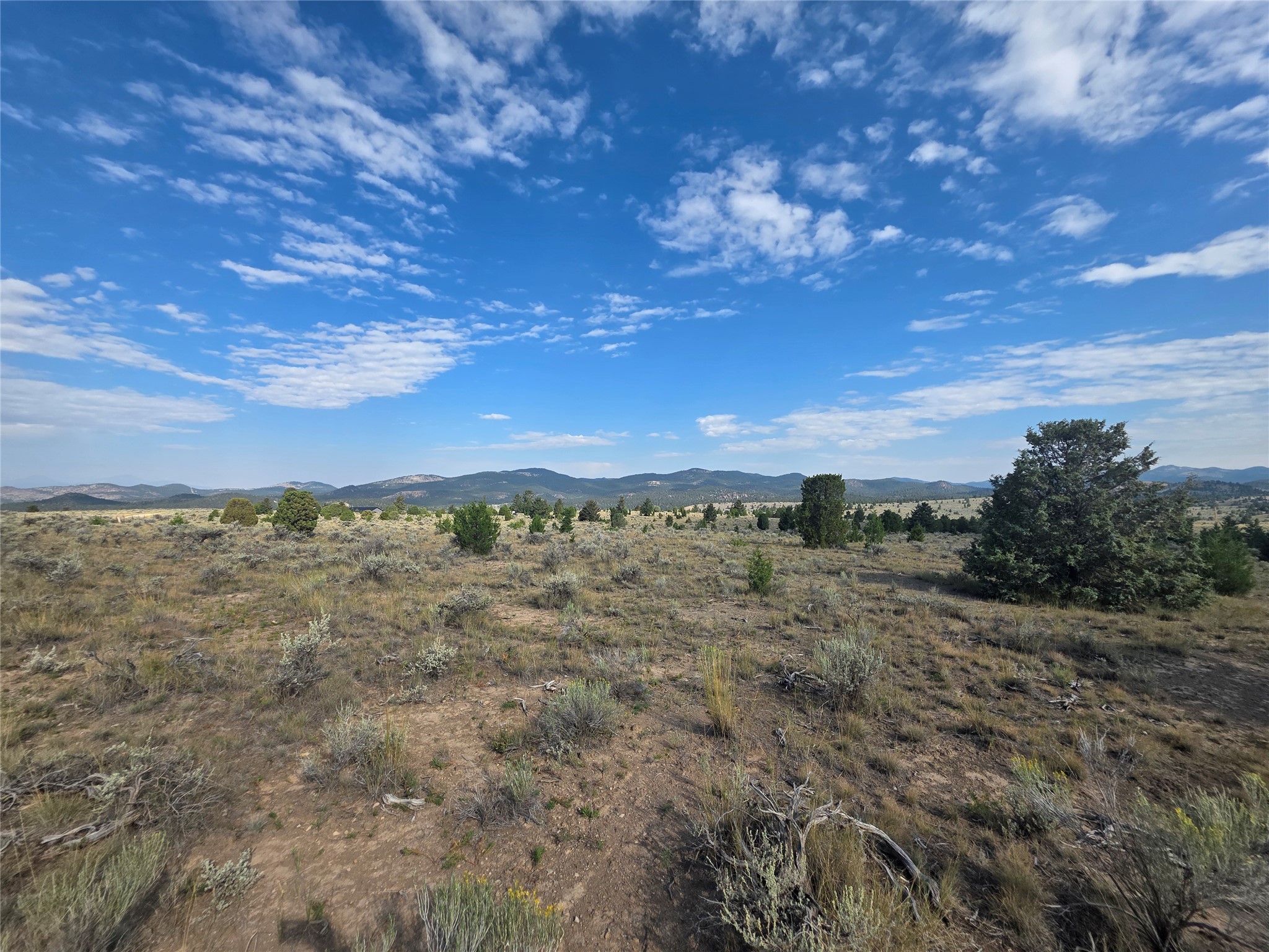 Nhn Prevost Trail Property Photo 8