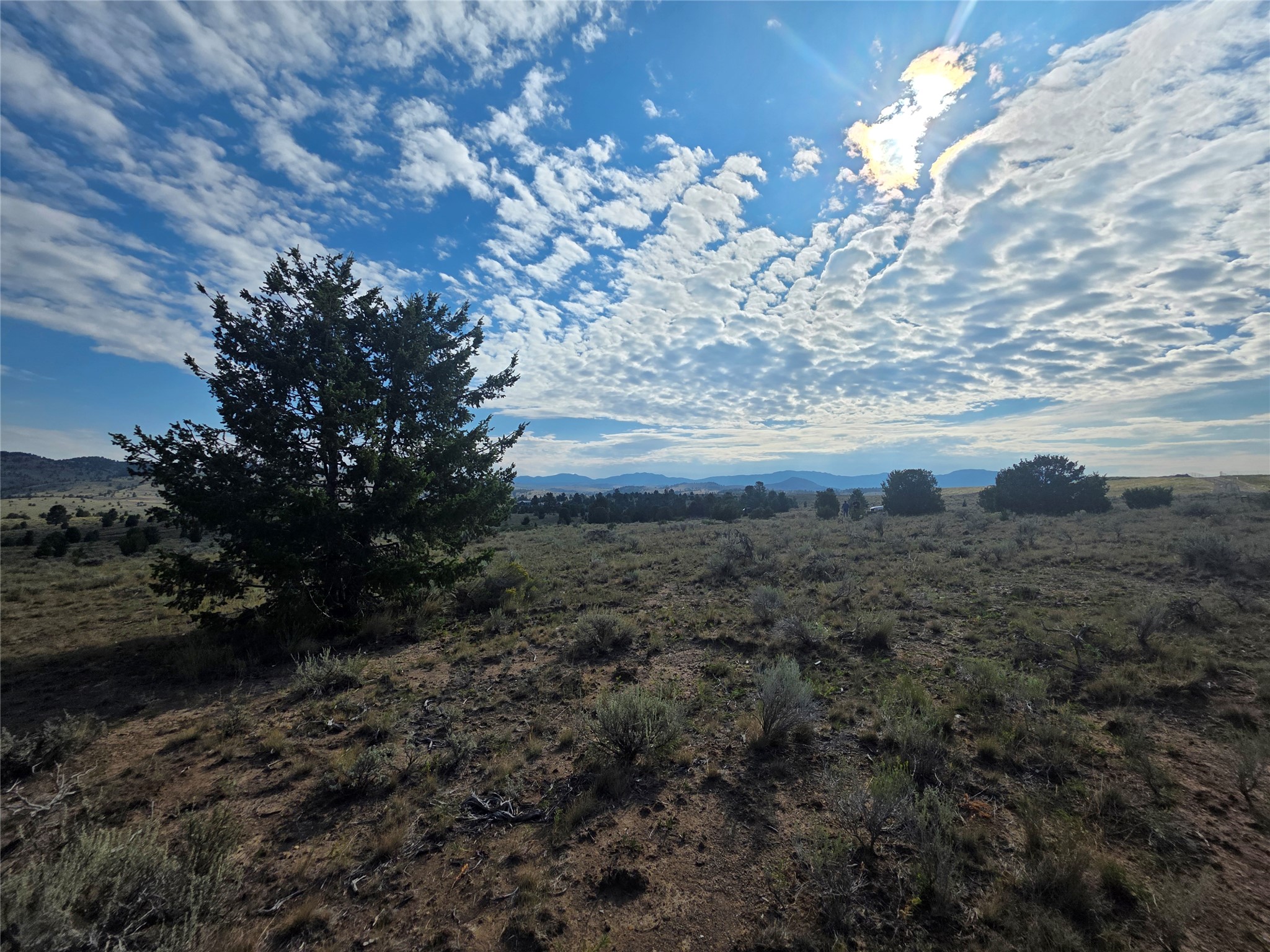 Nhn Prevost Trail Property Photo 9