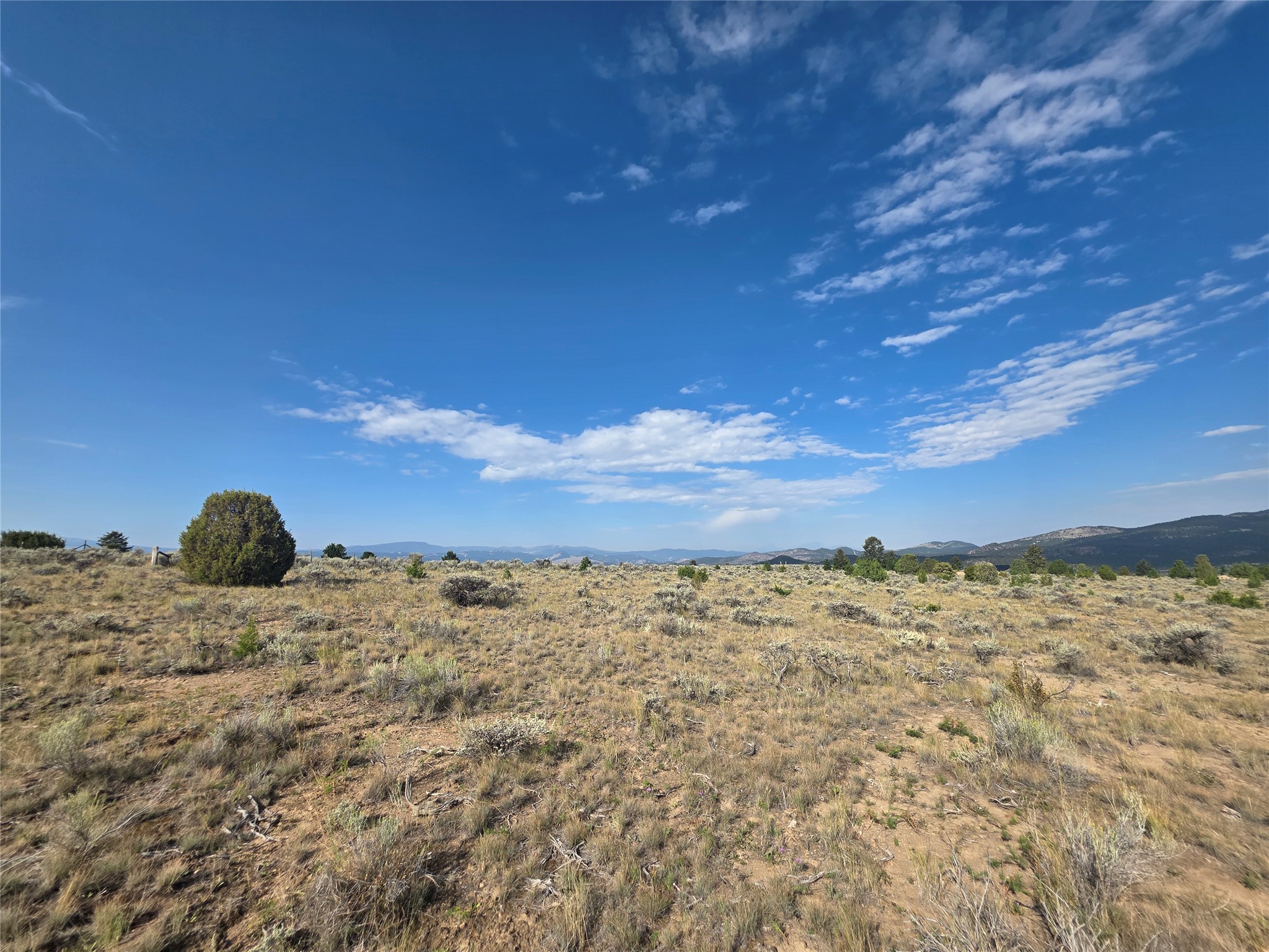 Nhn Prevost Trail Property Photo 10