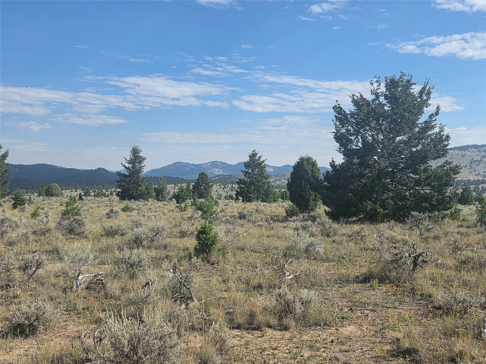 Nhn Prevost Trail Property Photo 16