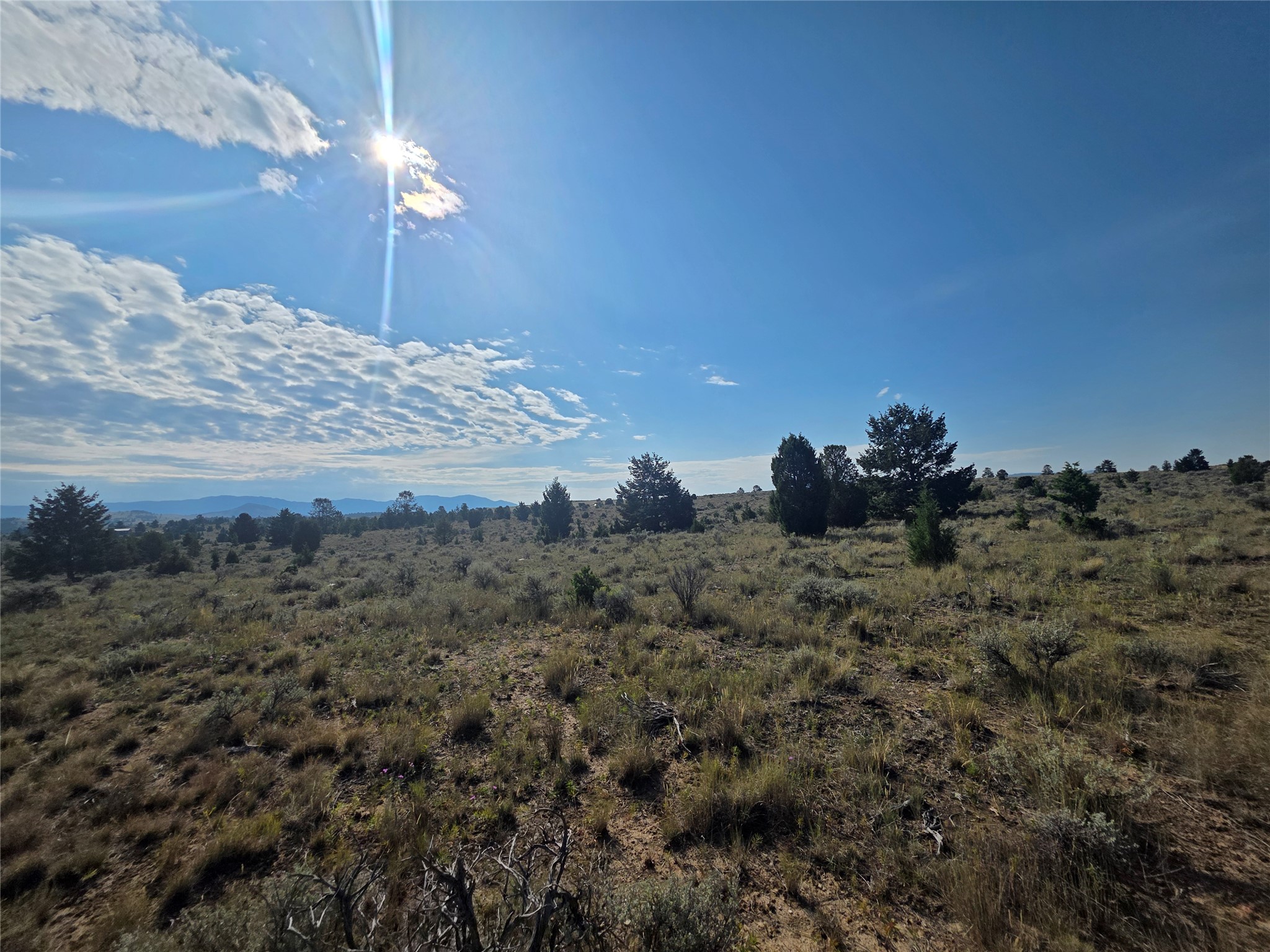 Nhn Prevost Trail Property Photo 19