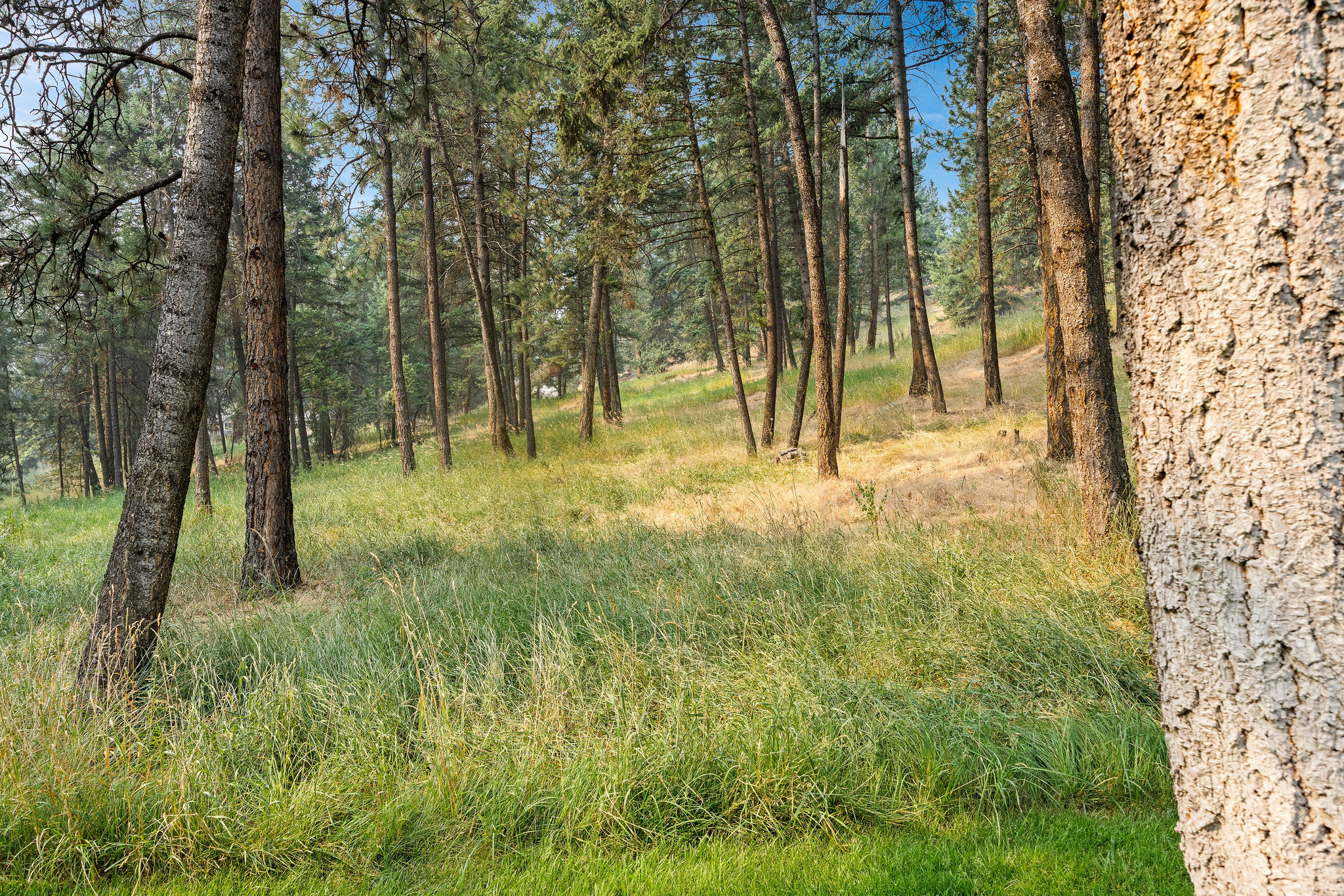 3030 Airport Road Property Photo 65