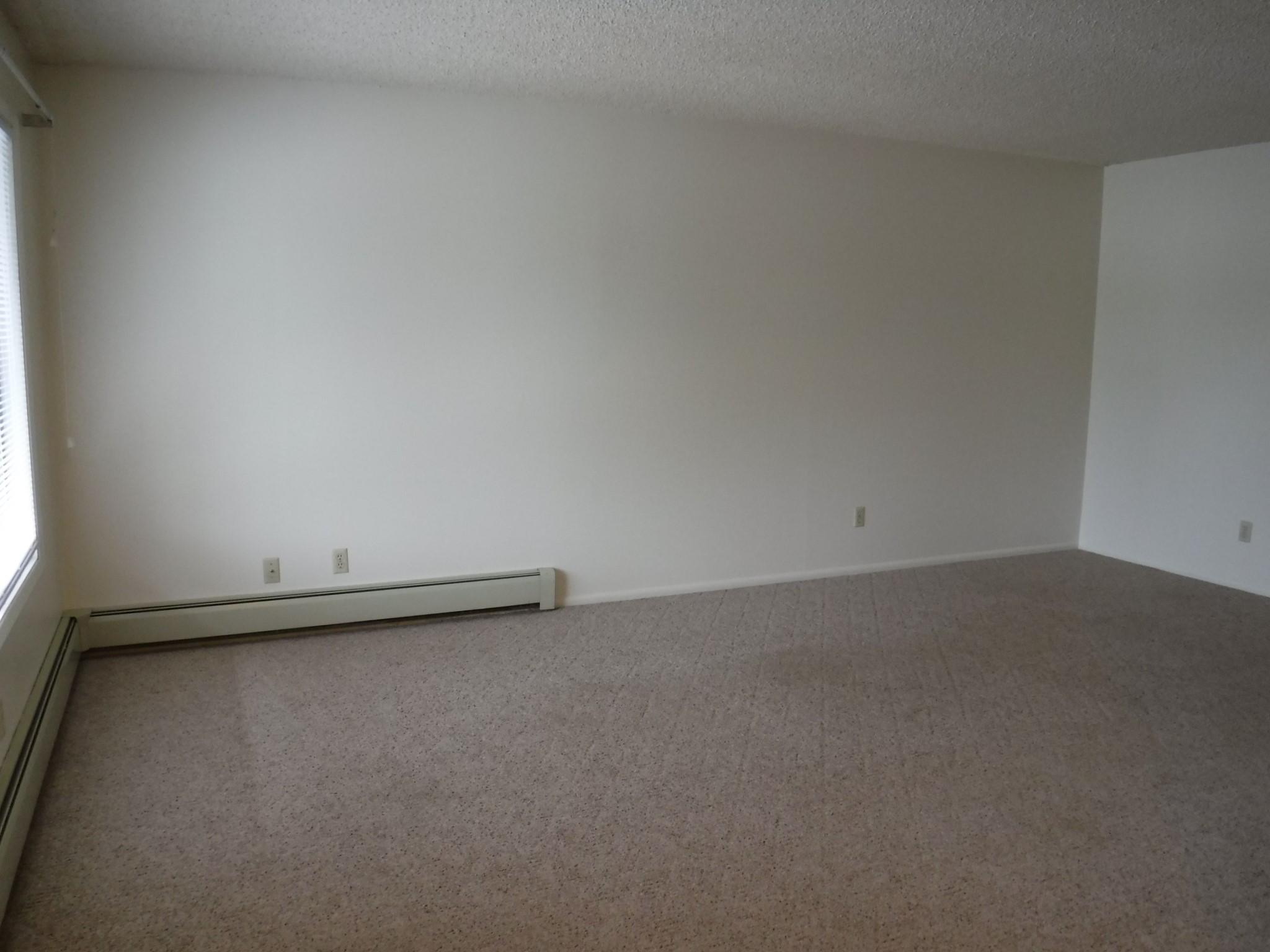 108 Camelot Court Property Photo 43