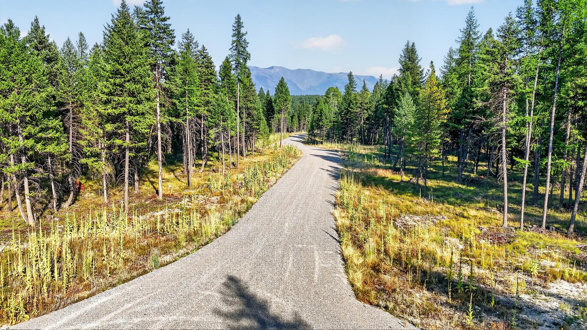 Lot 1 Forest Ridge Road Property Photo 4