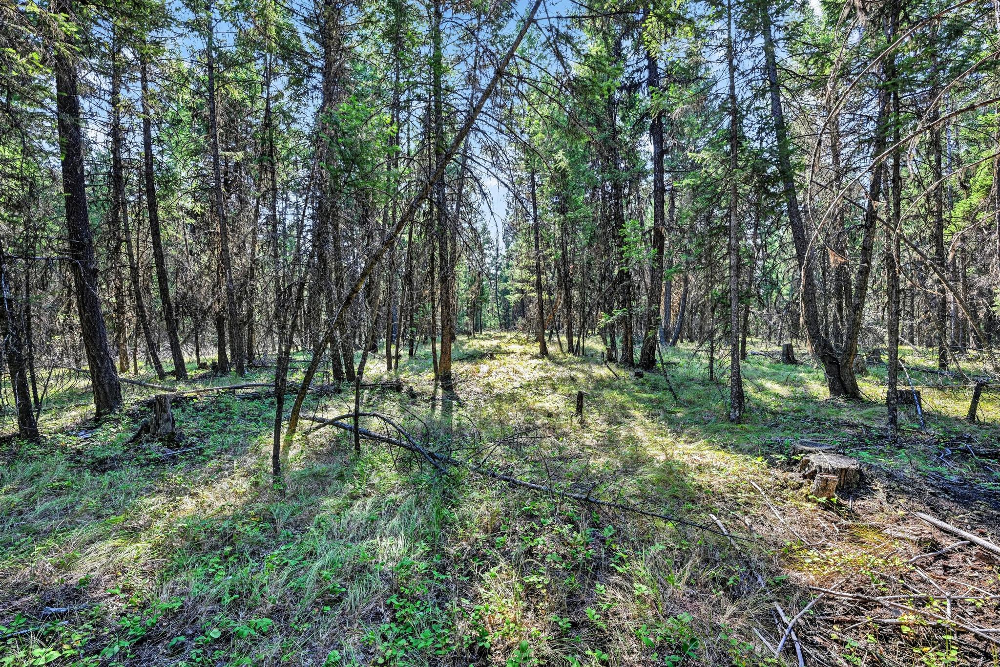 Lot 1 Forest Ridge Road Property Photo 14