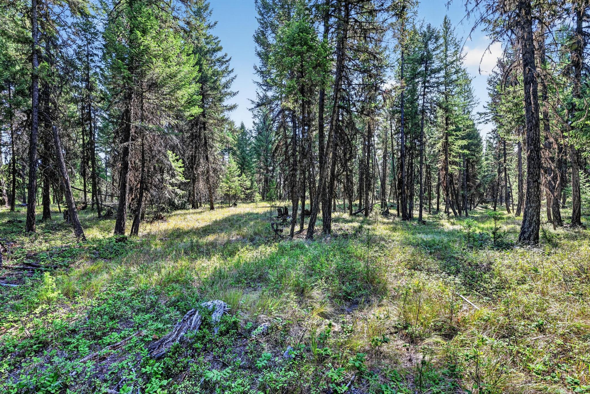 Lot 1 Forest Ridge Road Property Photo 15