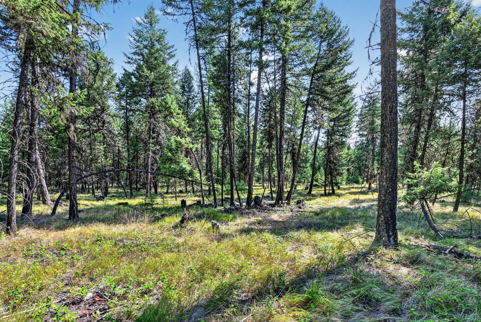Lot 1 Forest Ridge Road Property Photo 16