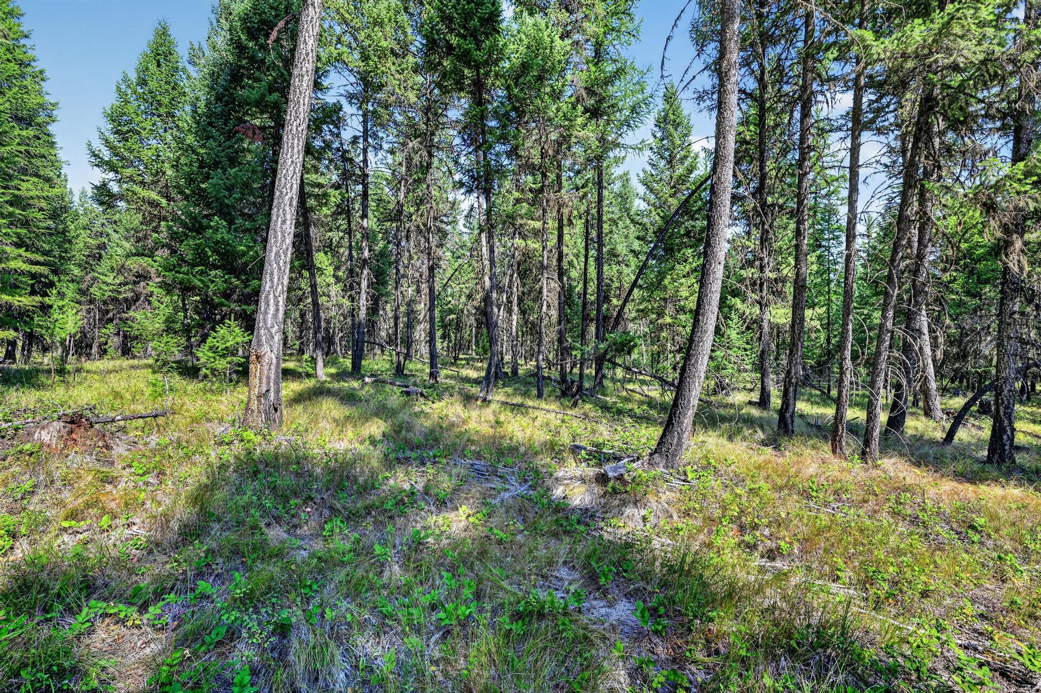 Lot 1 Forest Ridge Road Property Photo 17