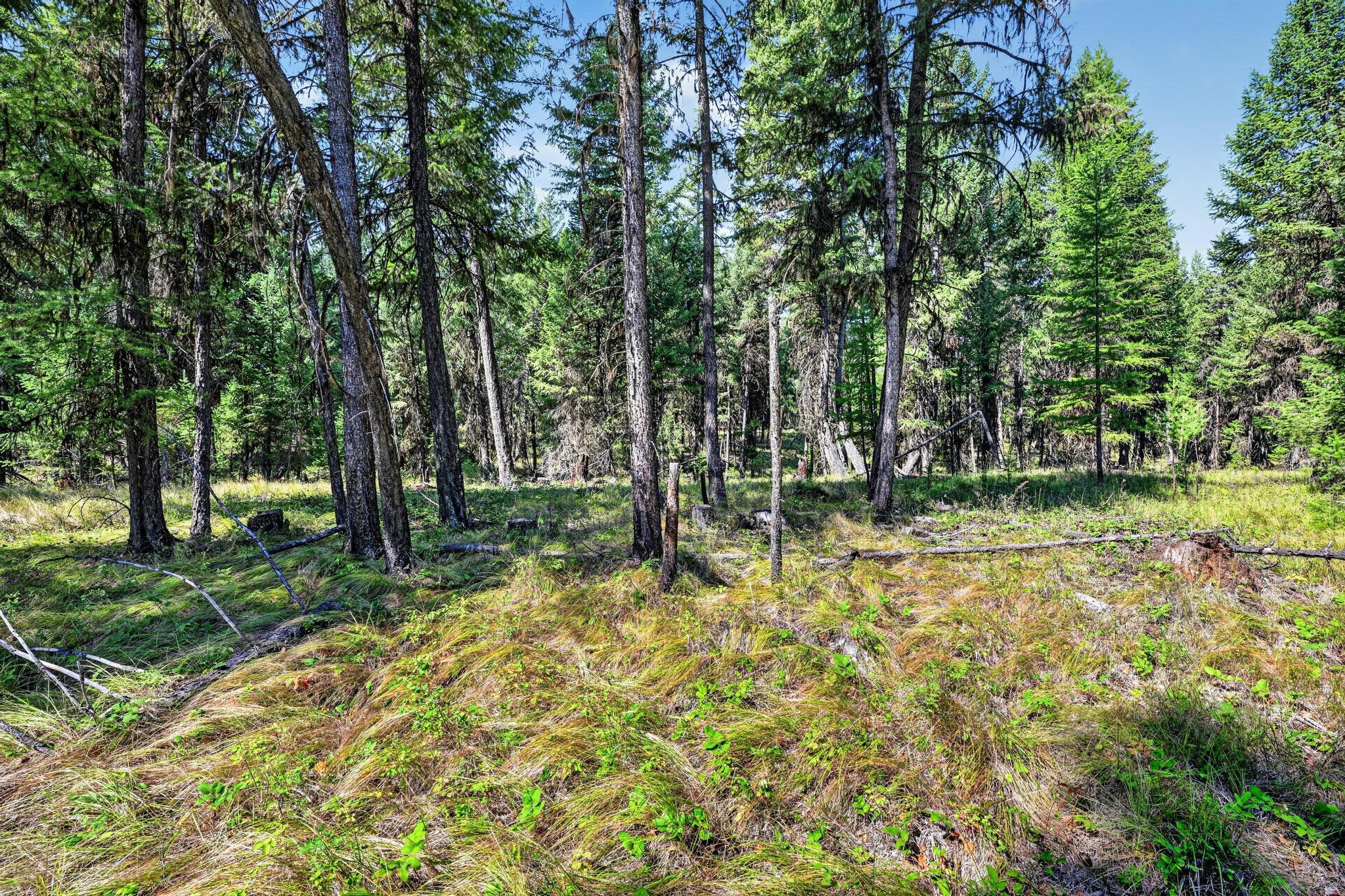 Lot 1 Forest Ridge Road Property Photo 18