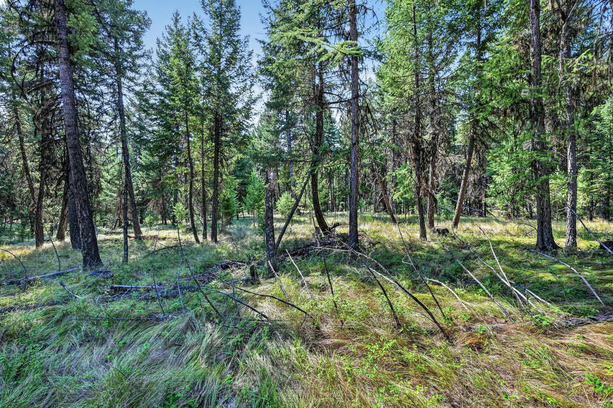 Lot 1 Forest Ridge Road Property Photo 19