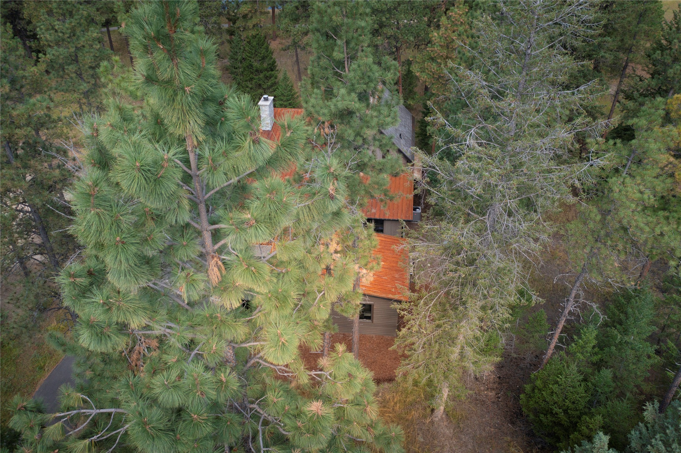 724 Wilderness Club Drive Property Photo 37