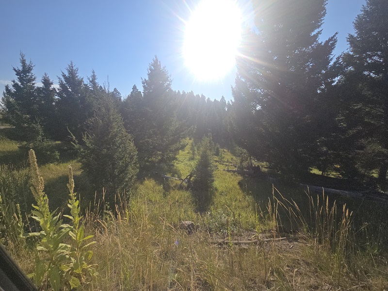 28 Muskrat Road Property Photo 13