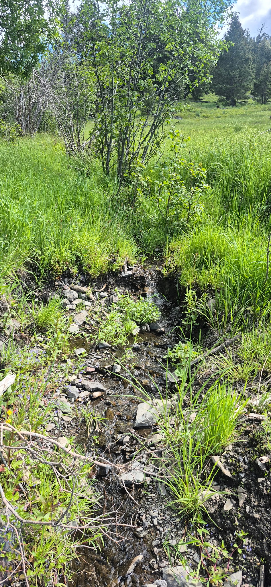 28 Muskrat Road Property Photo 18