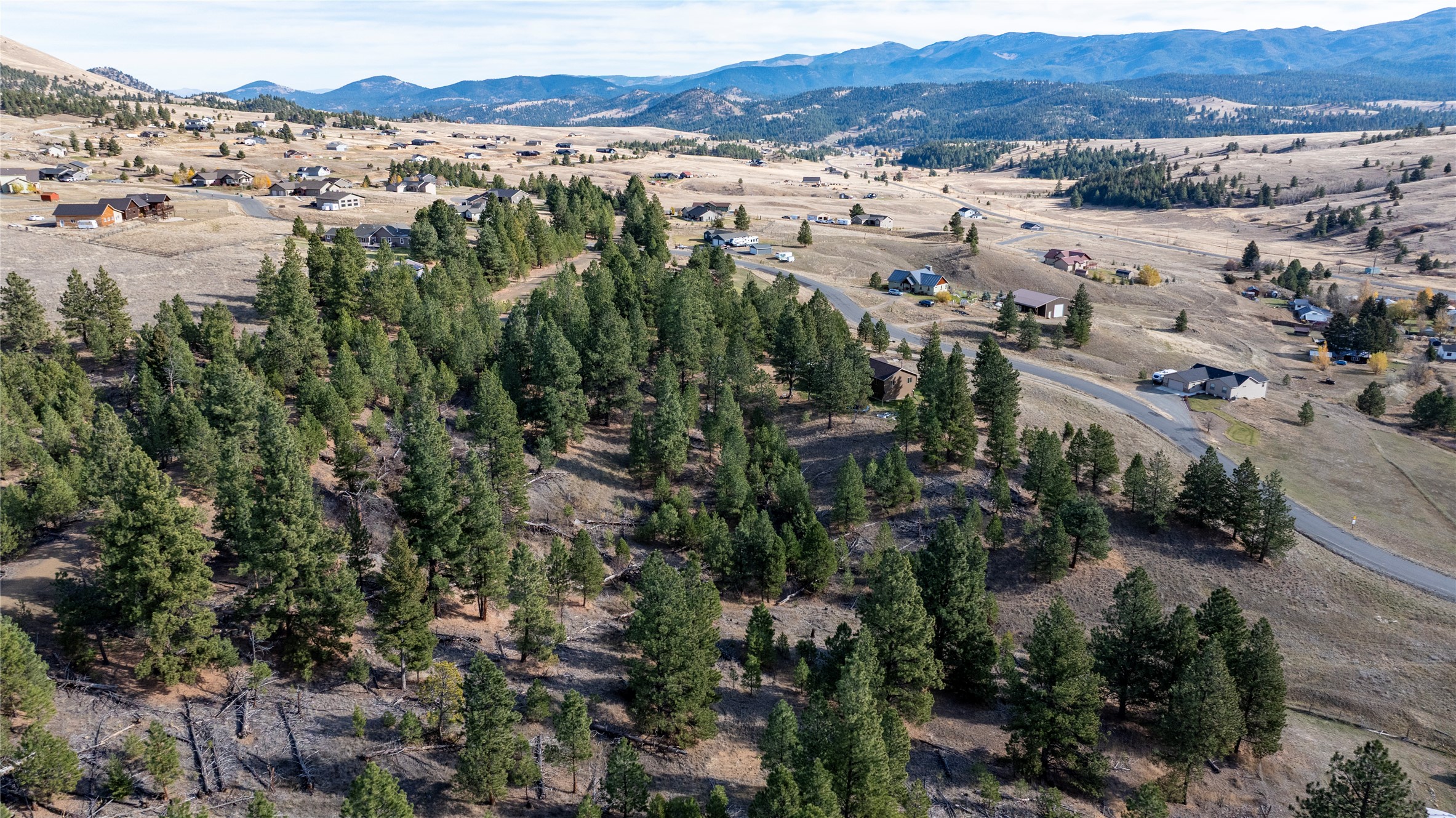 87 Meadowlark Trail Property Photo 3