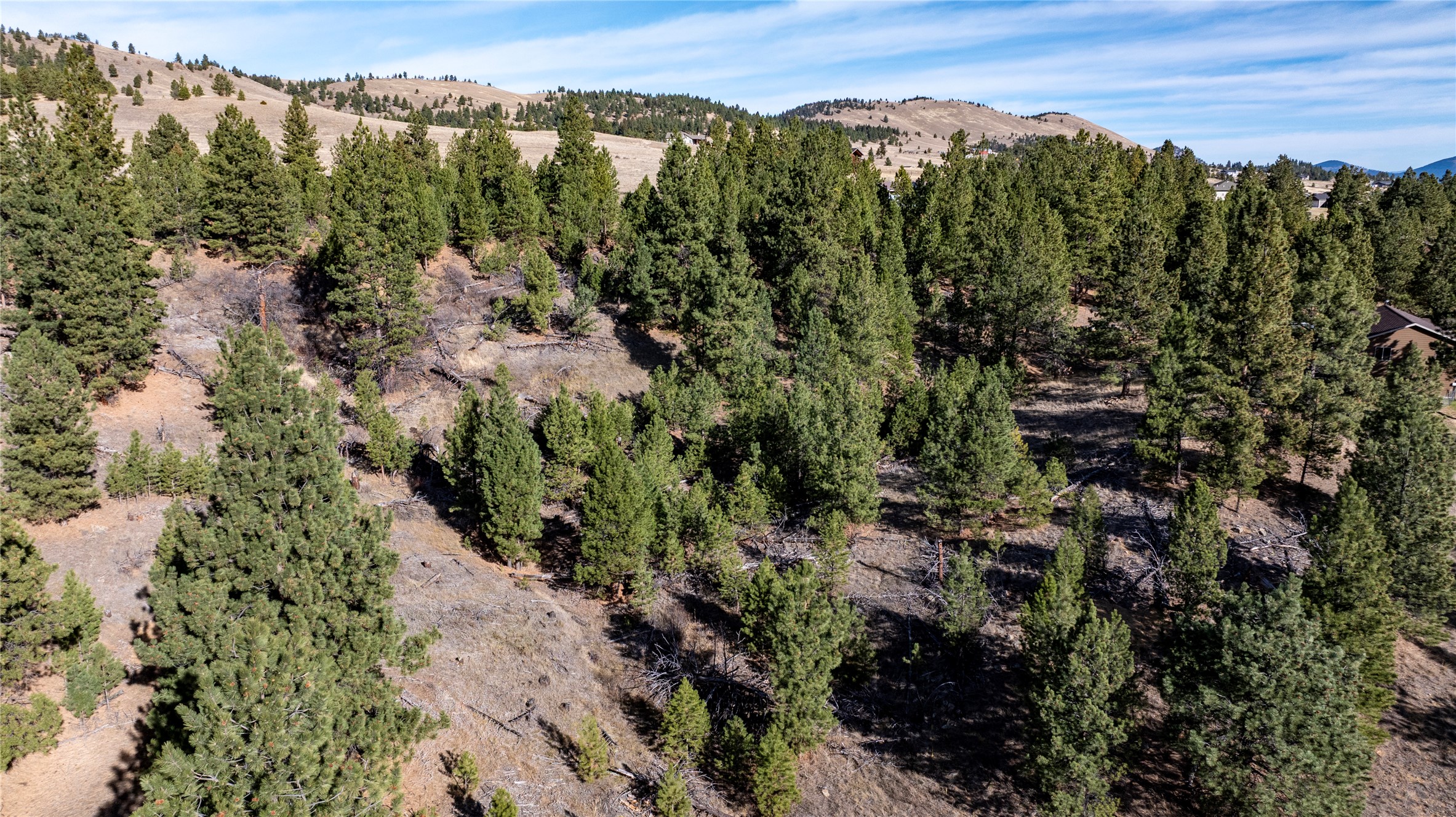 87 Meadowlark Trail Property Photo 5