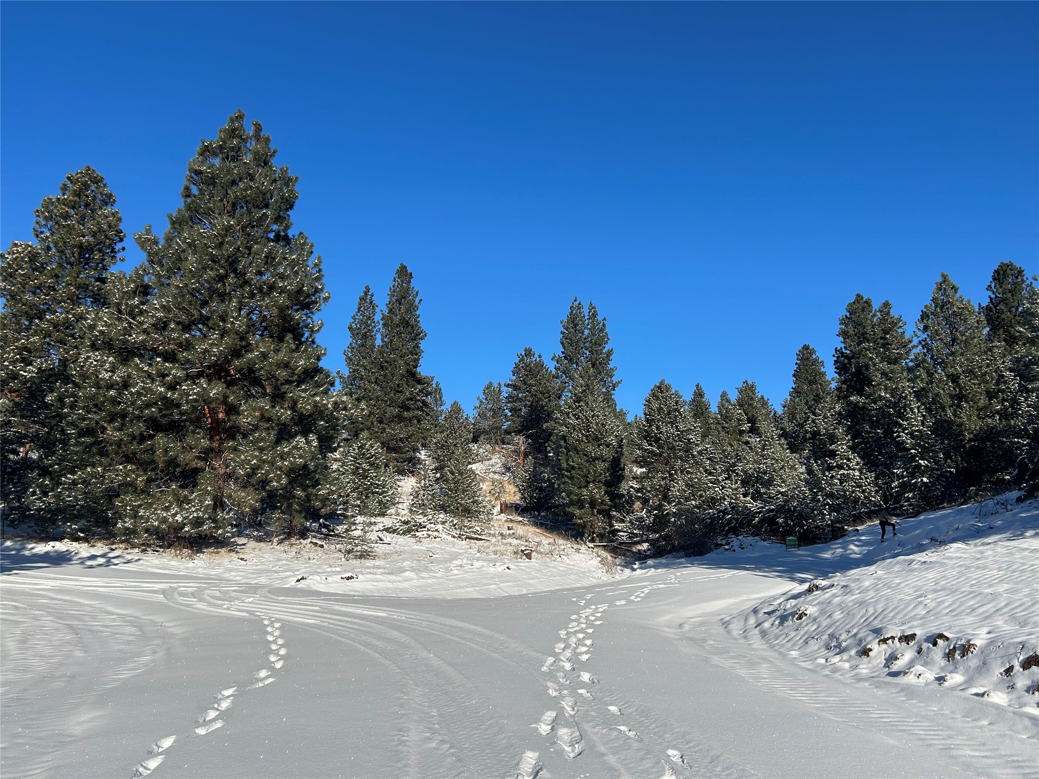87 Meadowlark Trail Property Photo 7