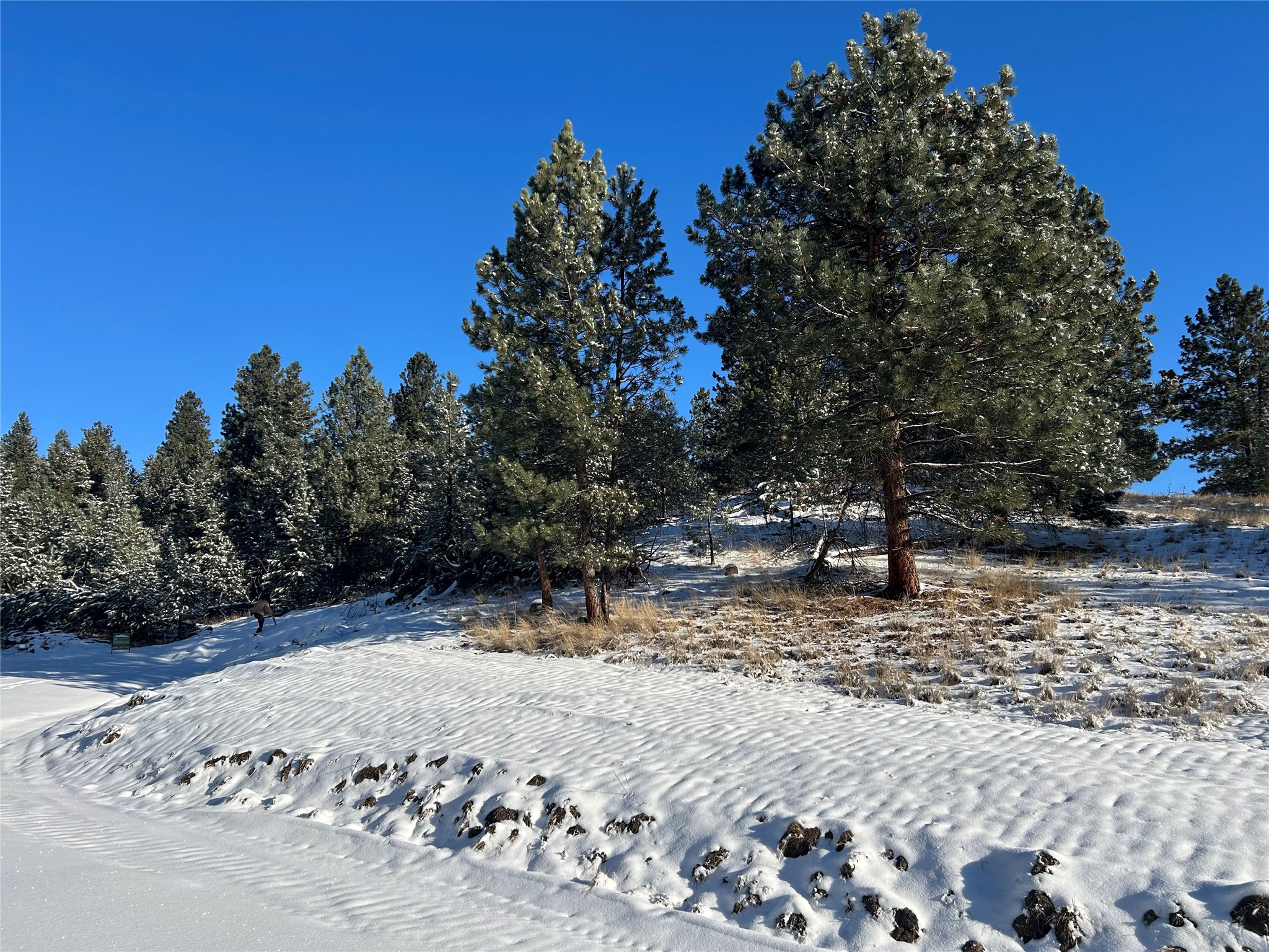 87 Meadowlark Trail Property Photo 8