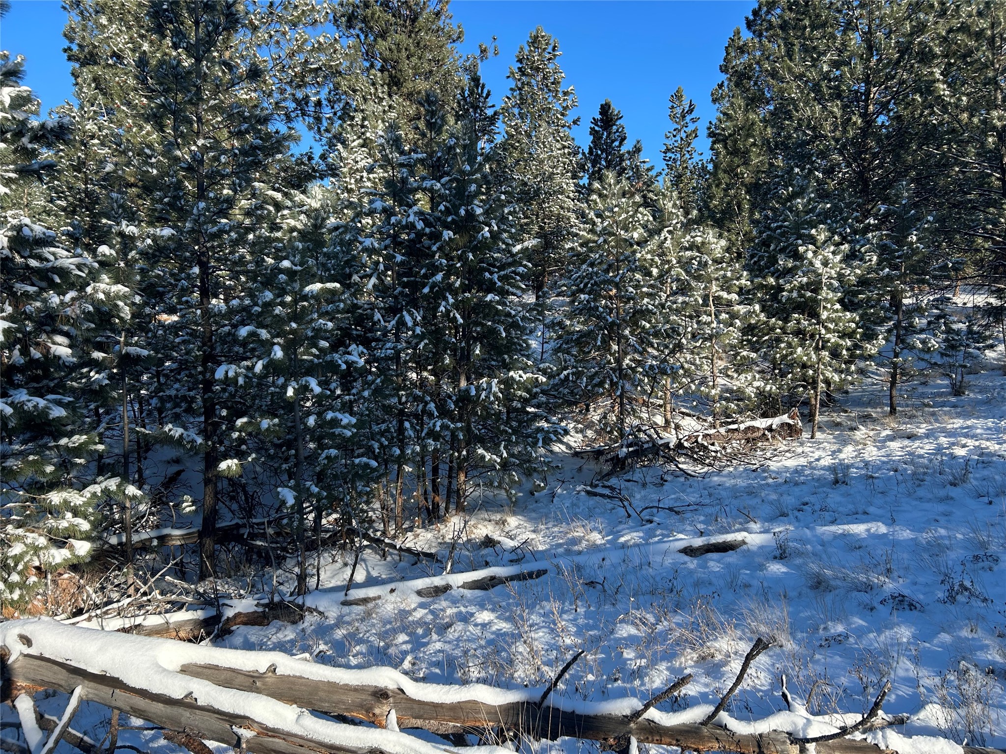 87 Meadowlark Trail Property Photo 10