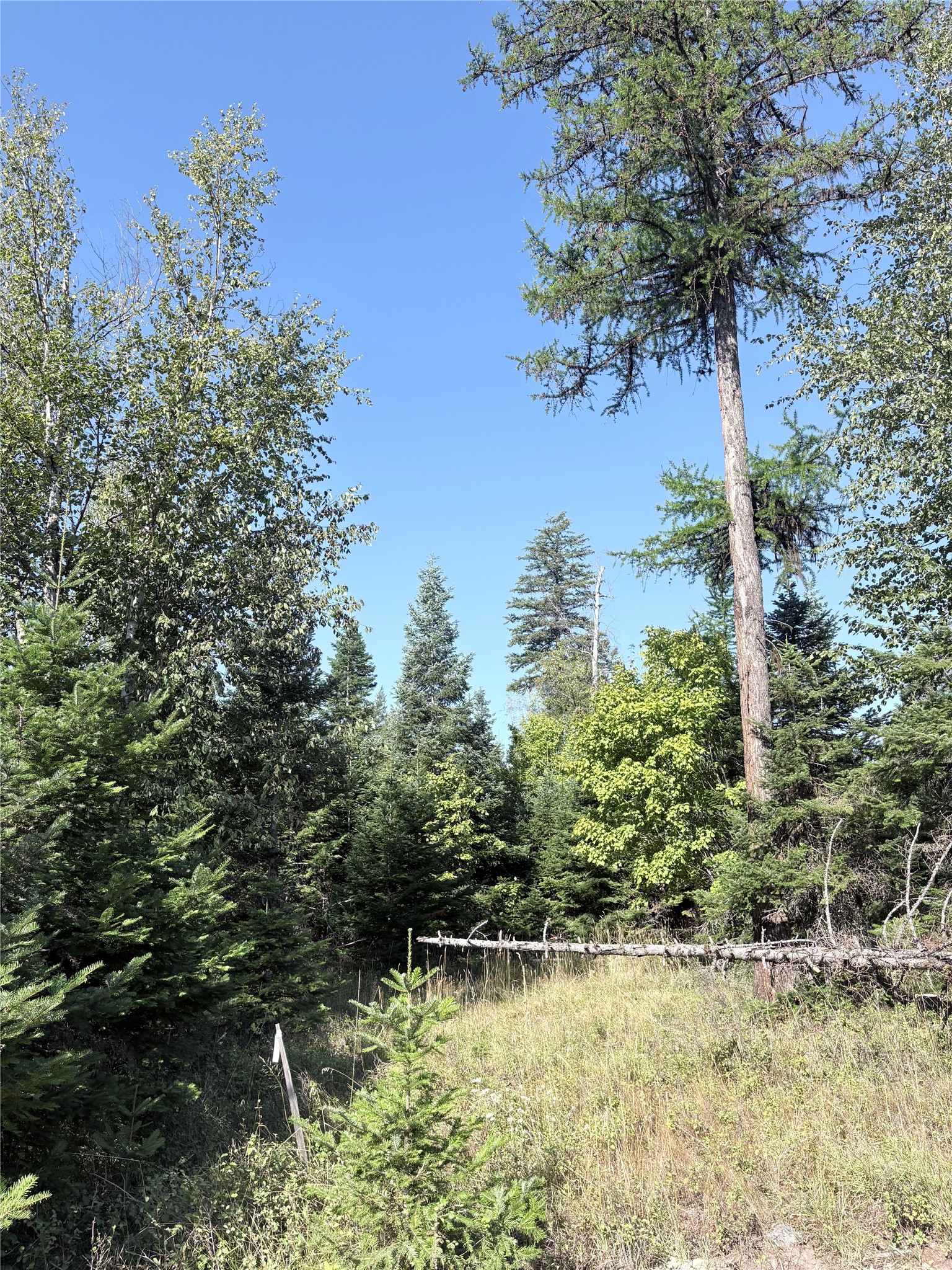 13515 Sundance Trail Property Photo 43