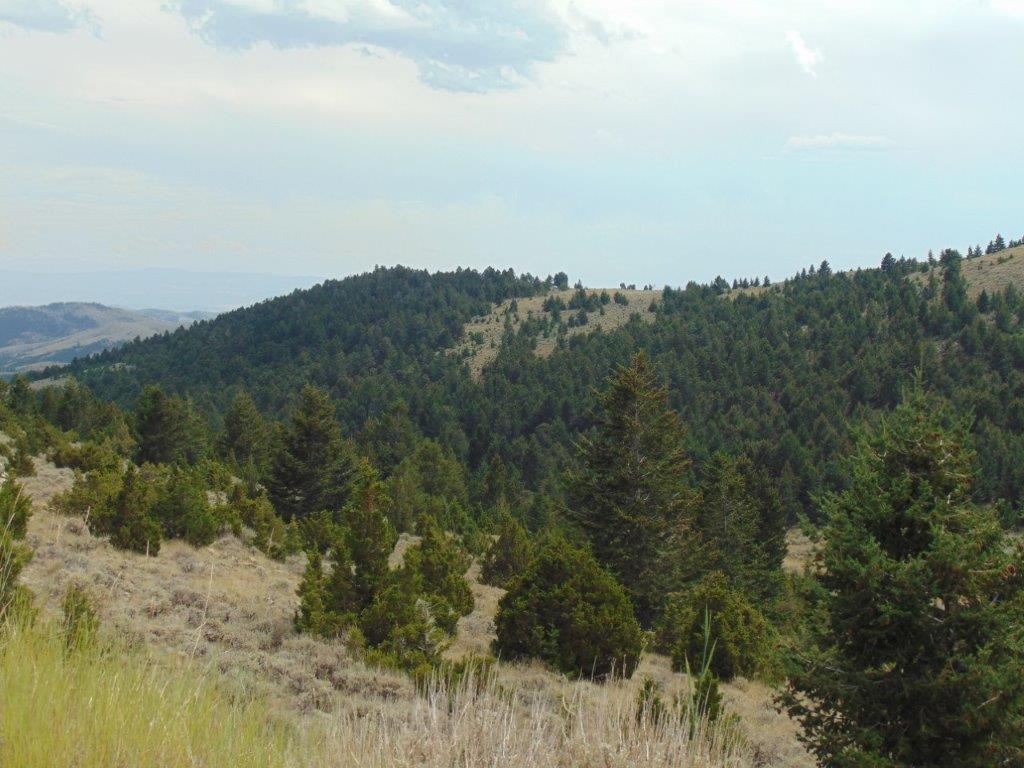Tbd W Fork Indian Creek Road Property Photo 5