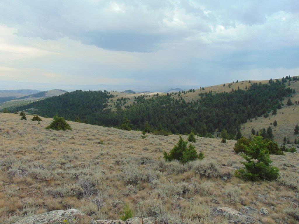 Tbd W Fork Indian Creek Road Property Photo 51