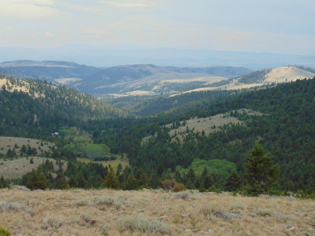 Tbd W Fork Indian Creek Road Property Photo 54