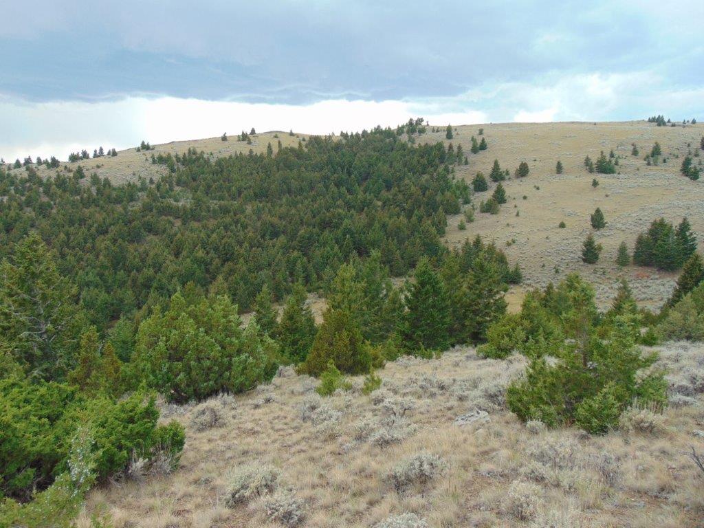 Tbd W Fork Indian Creek Road Property Photo 65
