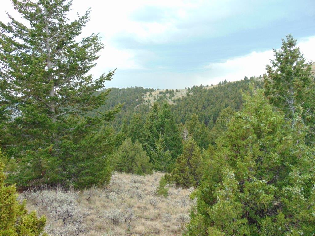 Tbd W Fork Indian Creek Road Property Photo 67