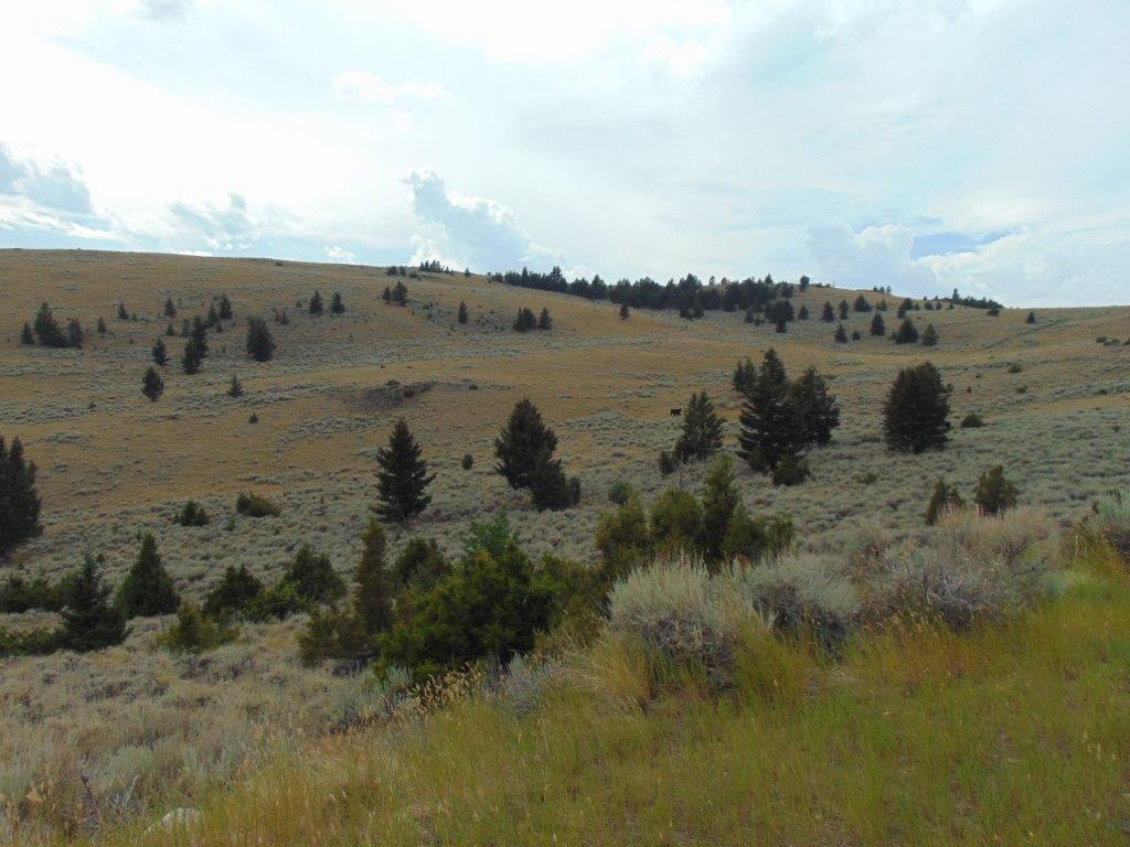 Tbd West Fork Indian Creek Road Property Photo 7