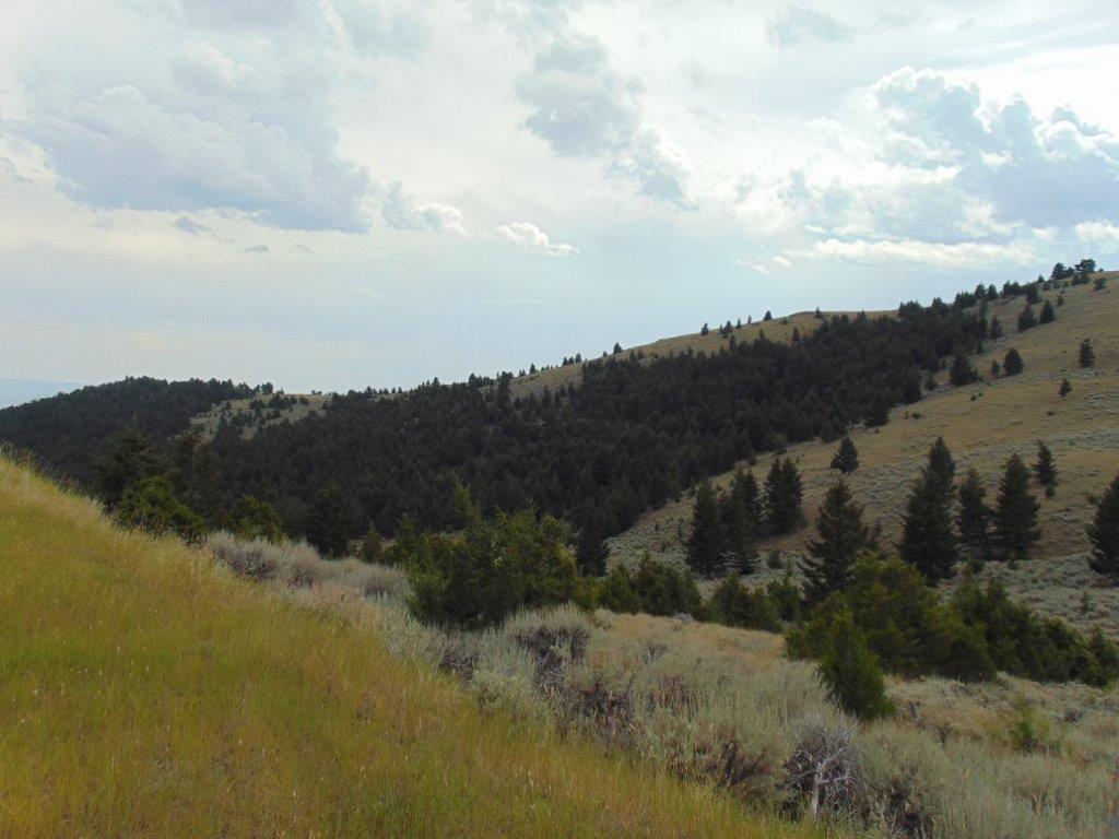 Tbd West Fork Indian Creek Road Property Photo 8