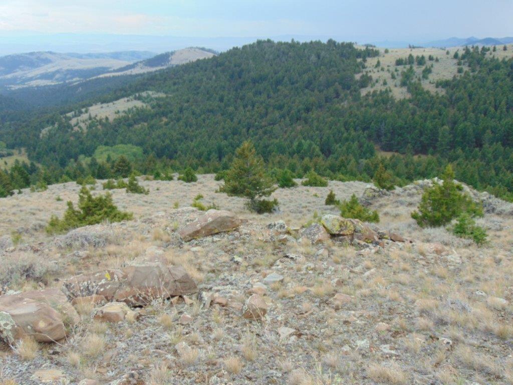 Tbd West Fork Indian Creek Road Property Photo 56