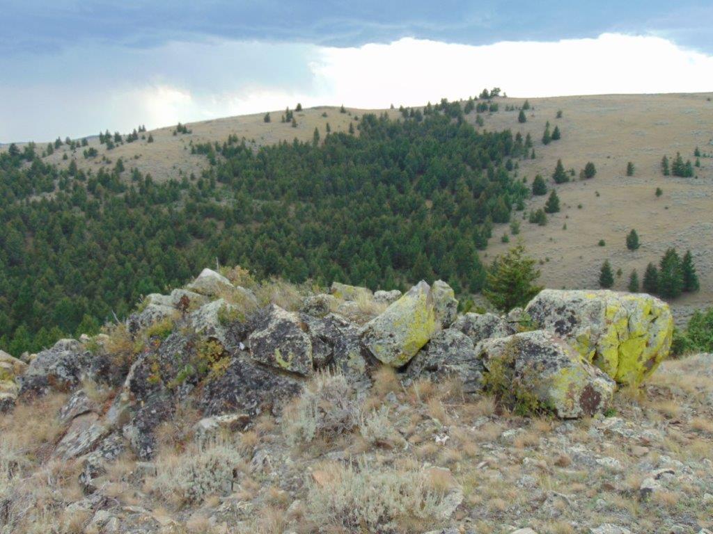 Tbd West Fork Indian Creek Road Property Photo 58