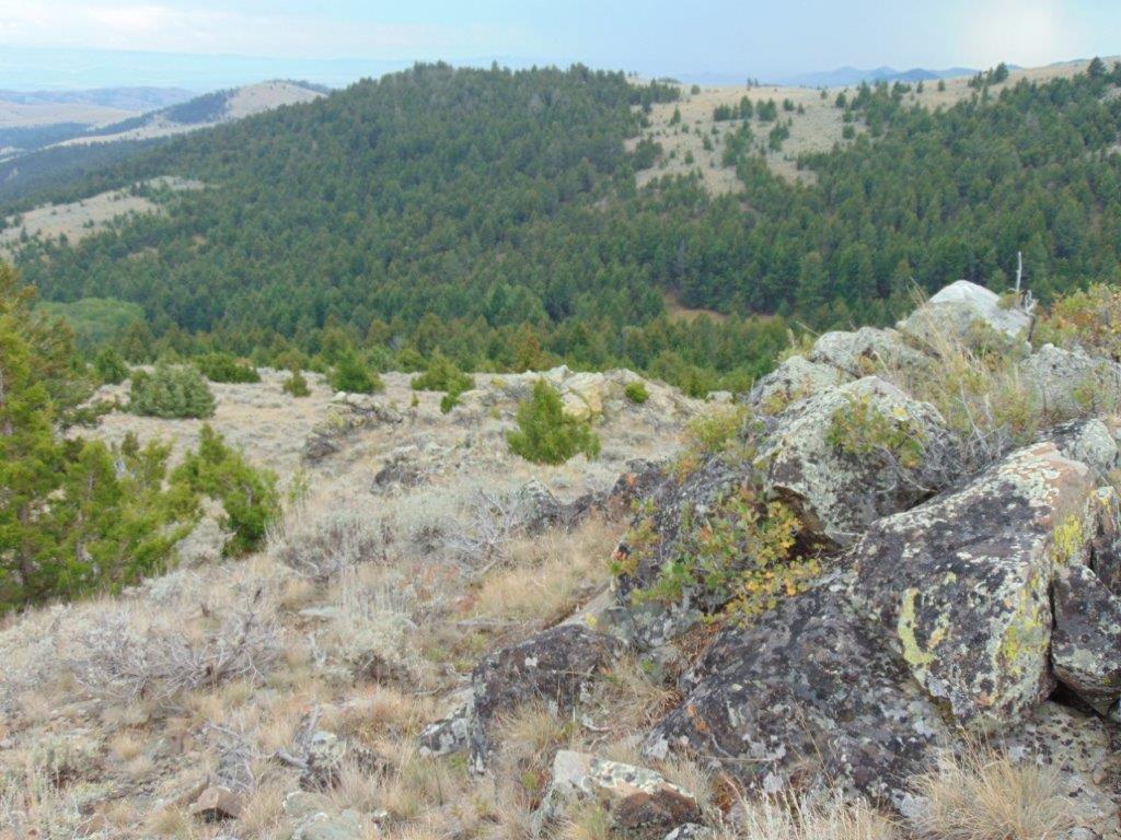 Tbd West Fork Indian Creek Road Property Photo 59