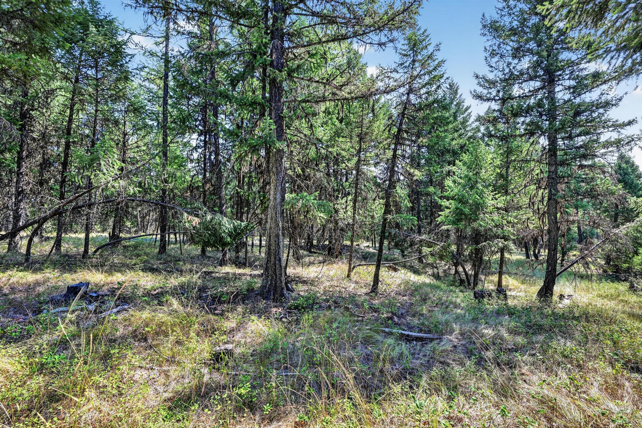 Lot 3 Forest Ridge Road Property Photo 2