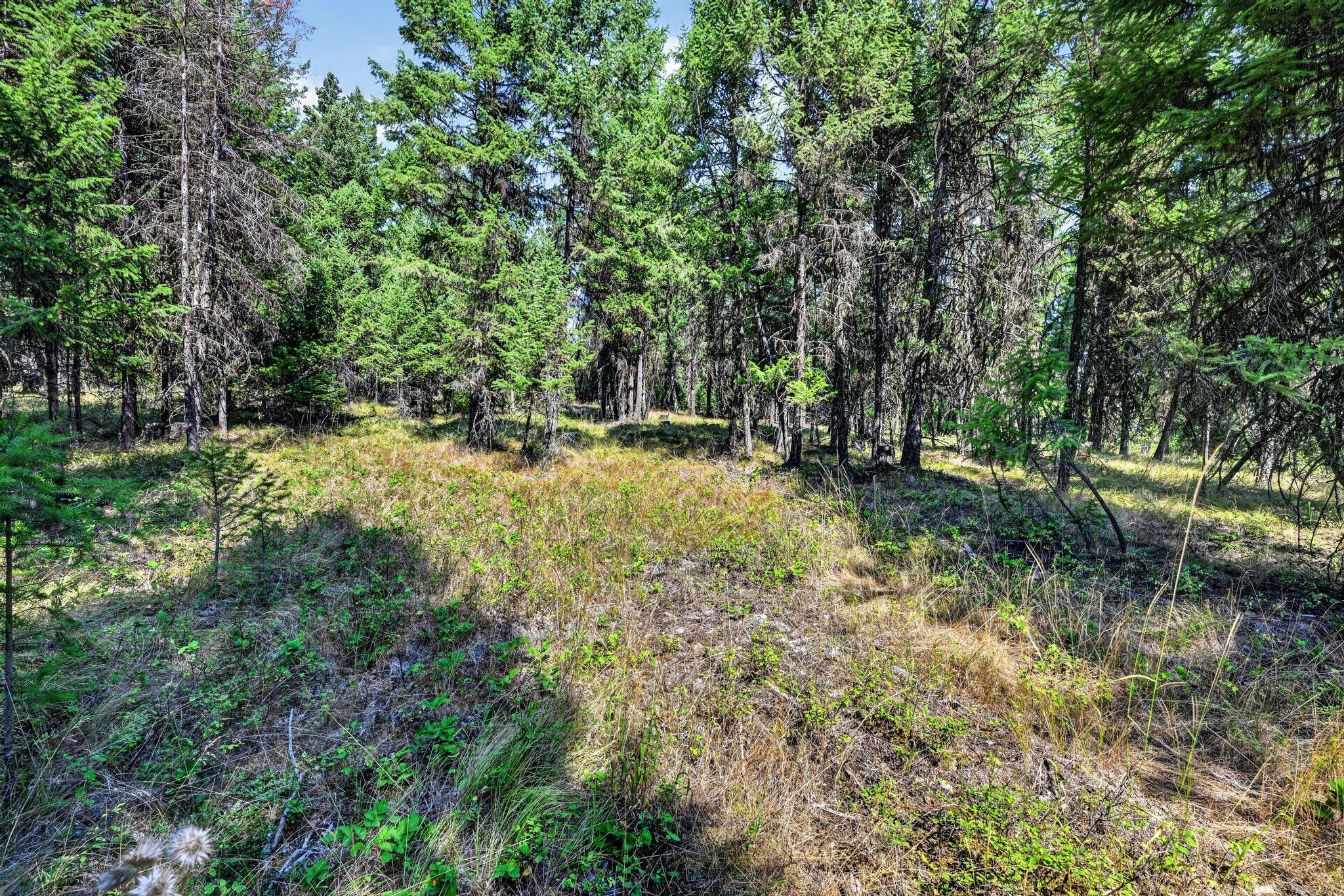 Lot 3 Forest Ridge Road Property Photo 3