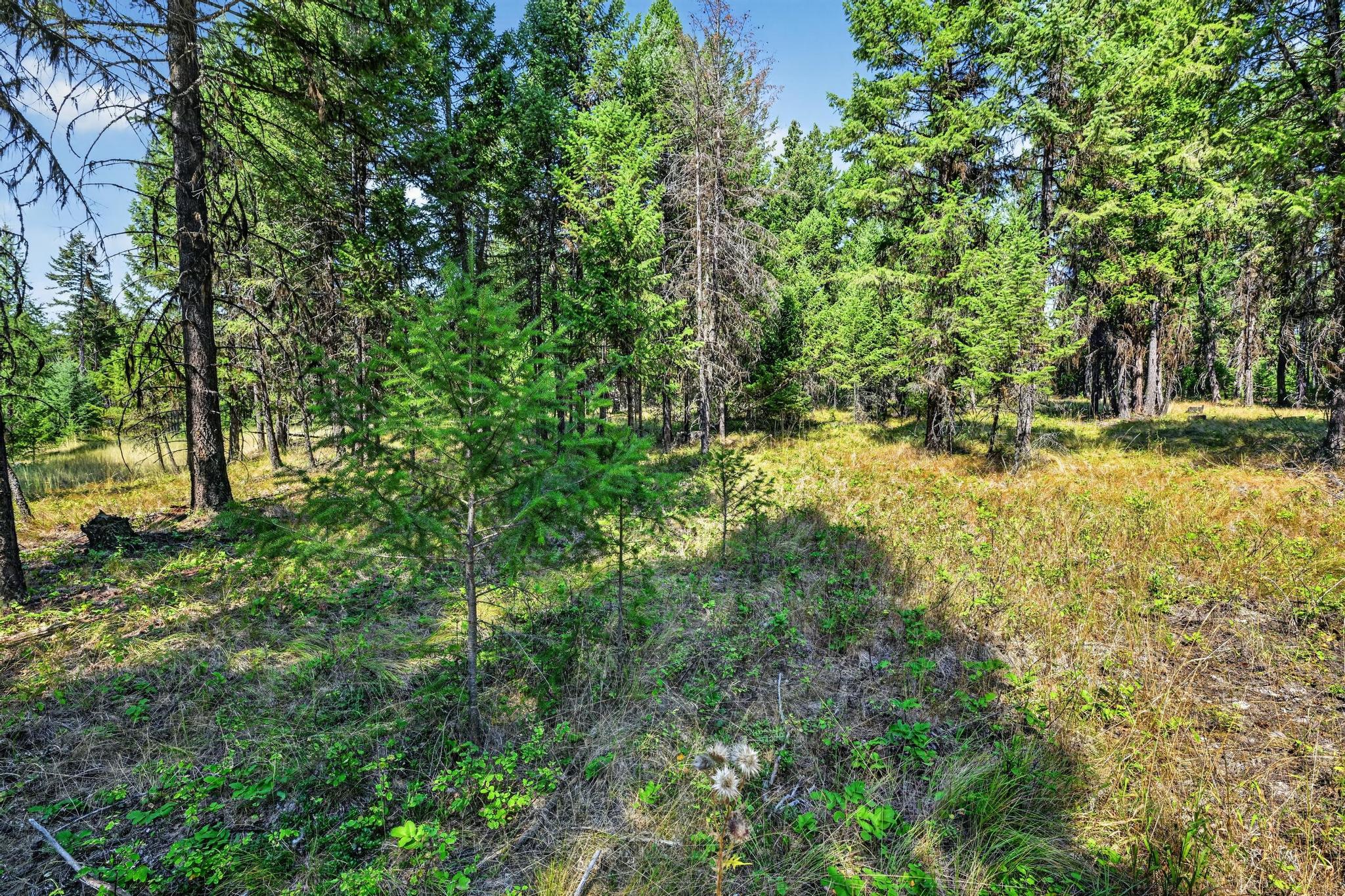 Lot 3 Forest Ridge Road Property Photo 4