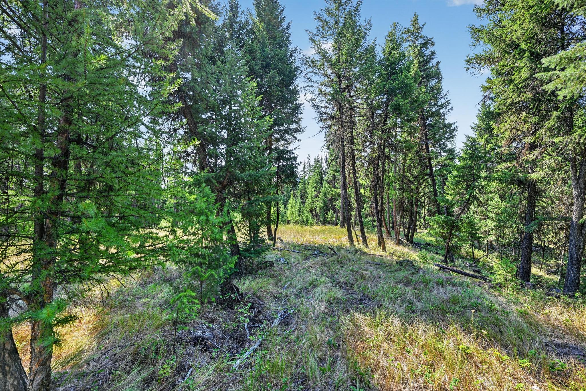 Lot 3 Forest Ridge Road Property Photo 5