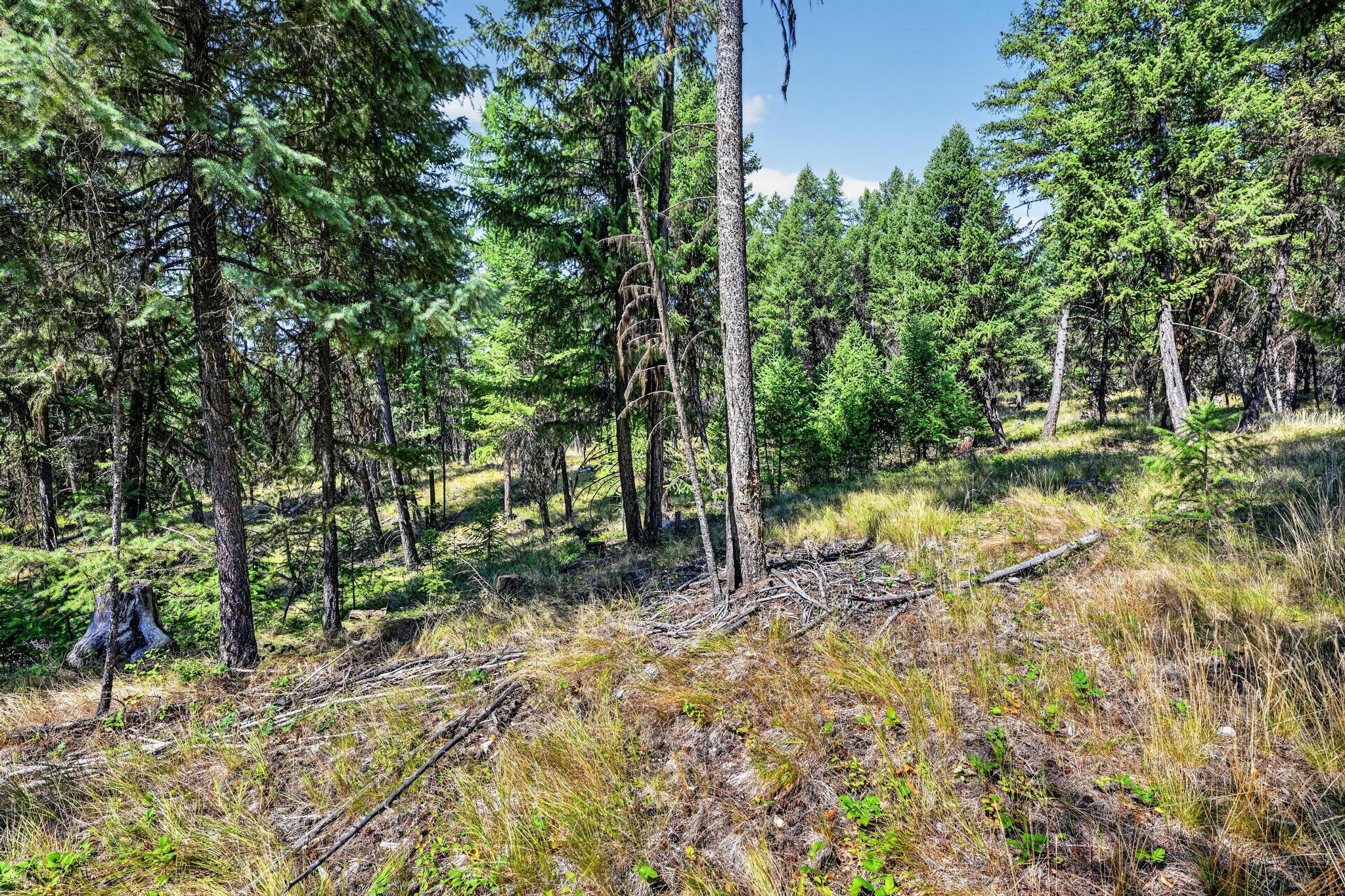 Lot 3 Forest Ridge Road Property Photo 6