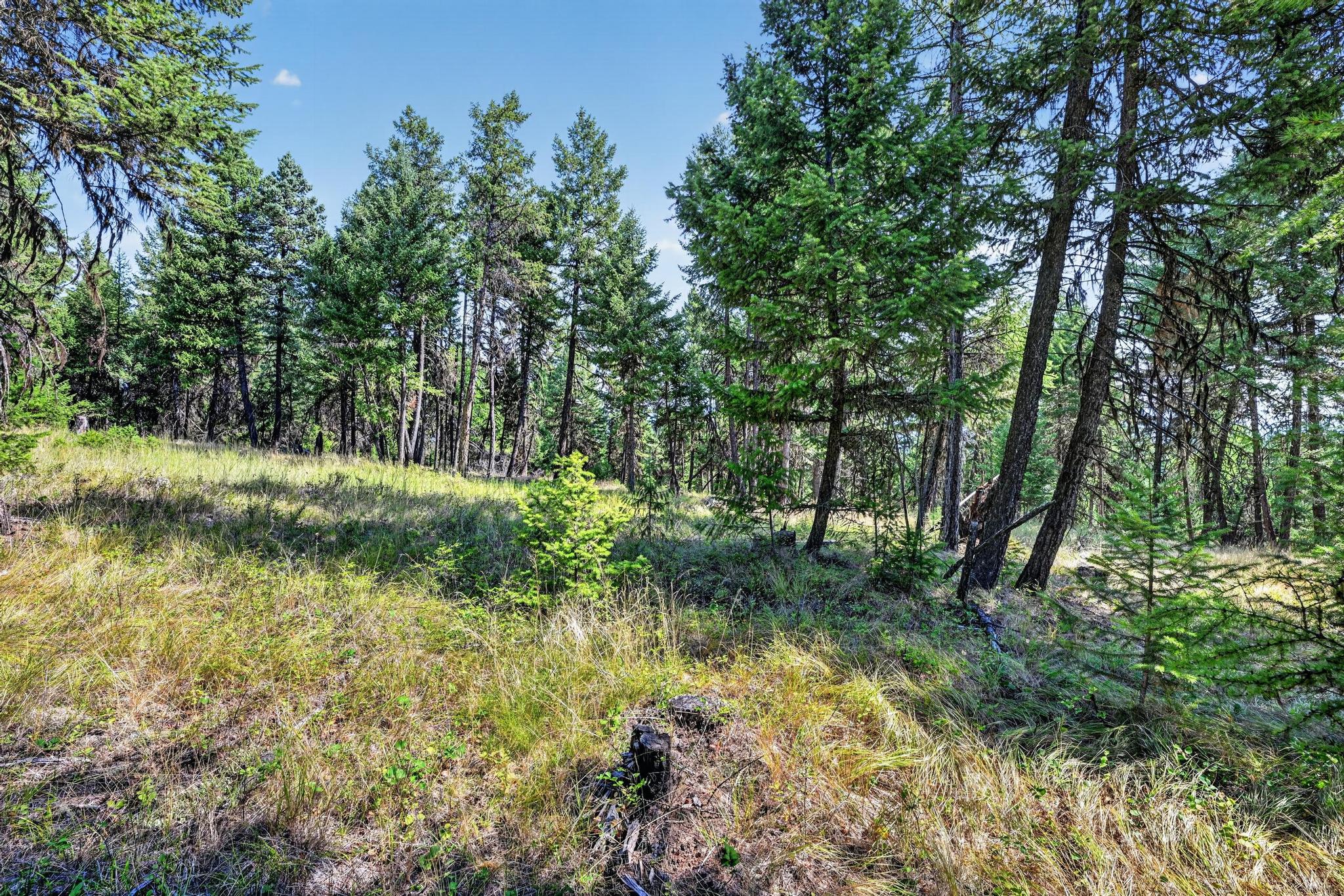 Lot 3 Forest Ridge Road Property Photo 7