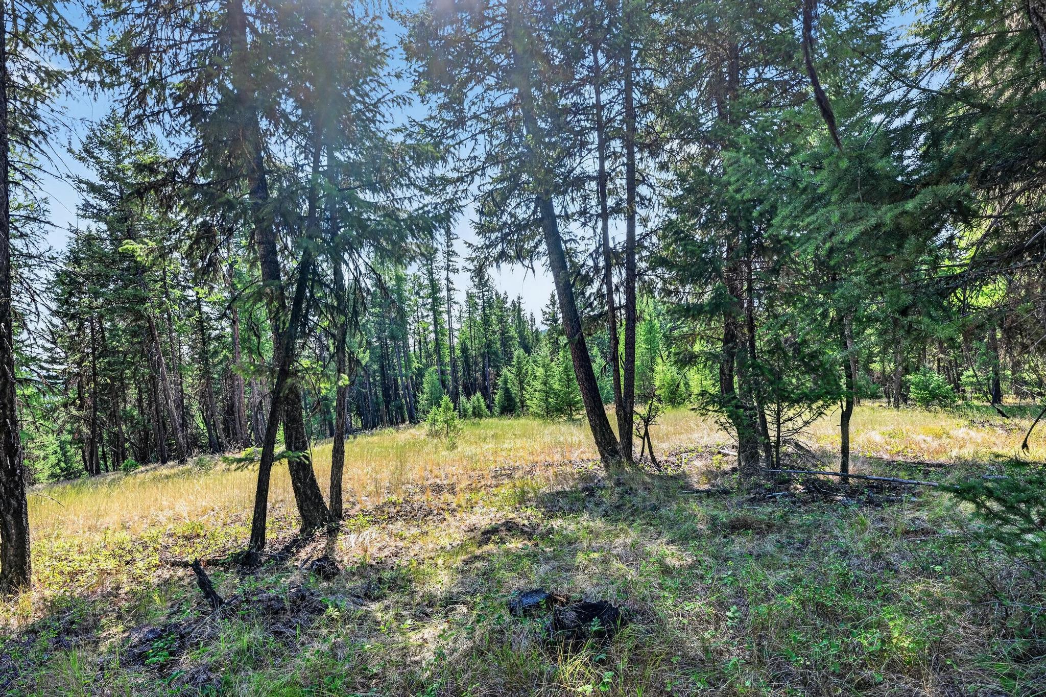 Lot 3 Forest Ridge Road Property Photo 8