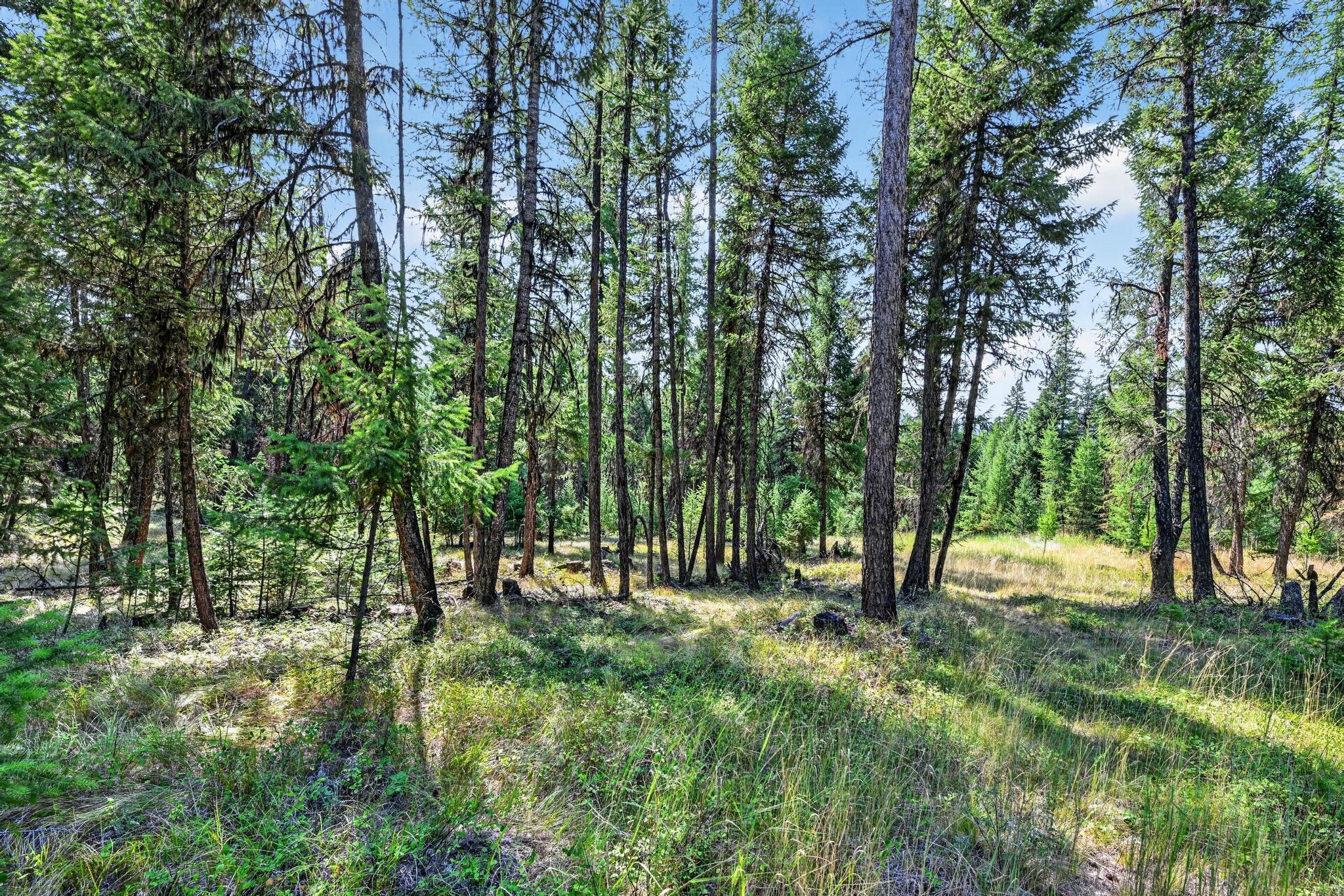 Lot 3 Forest Ridge Road Property Photo 9