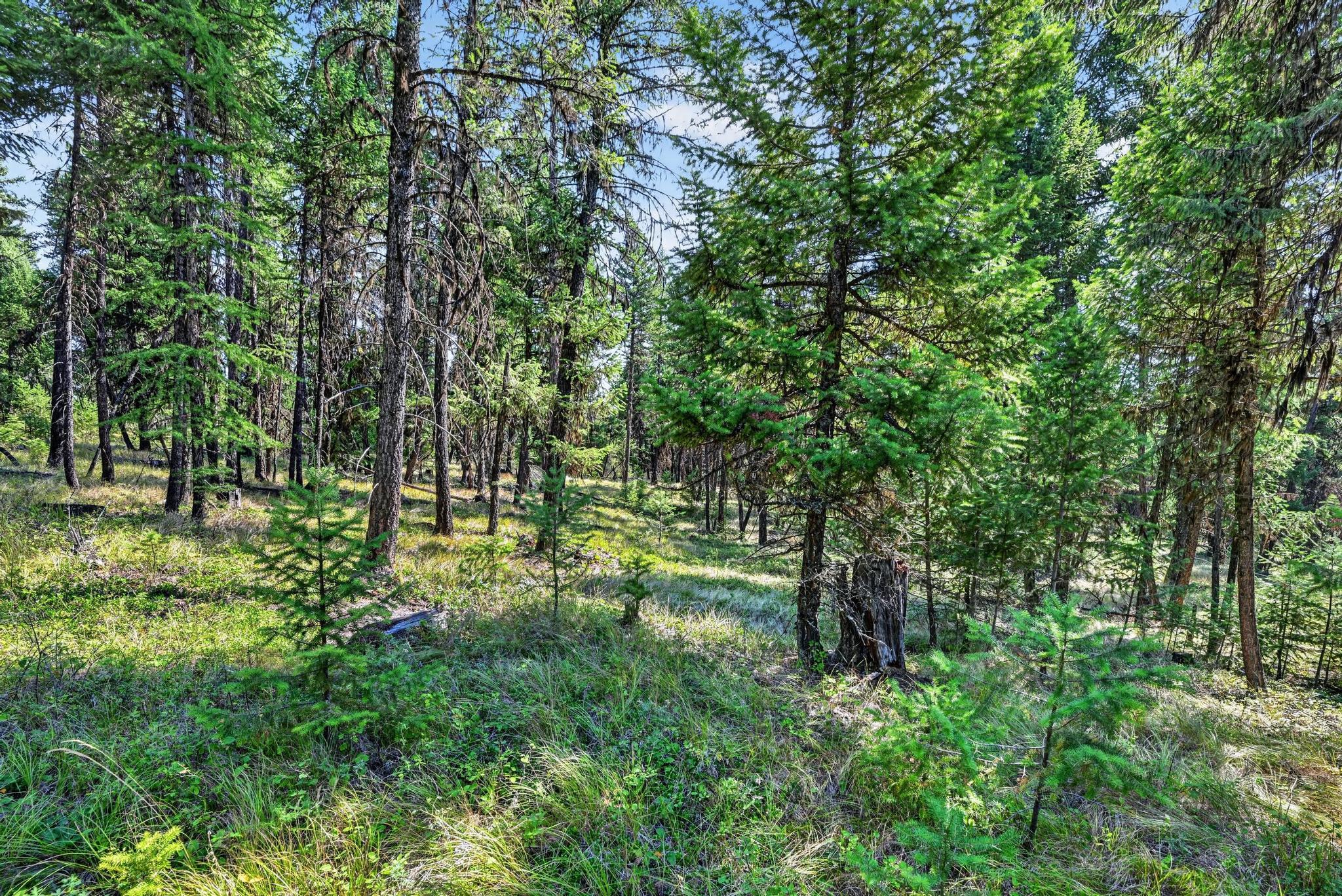 Lot 3 Forest Ridge Road Property Photo 10