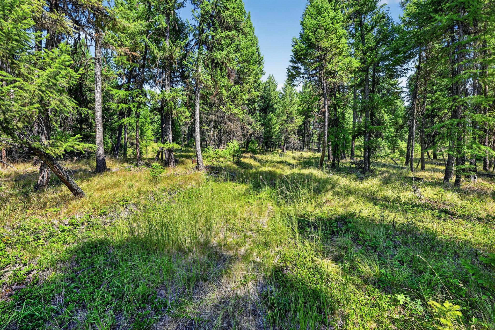 Lot 3 Forest Ridge Road Property Photo 11