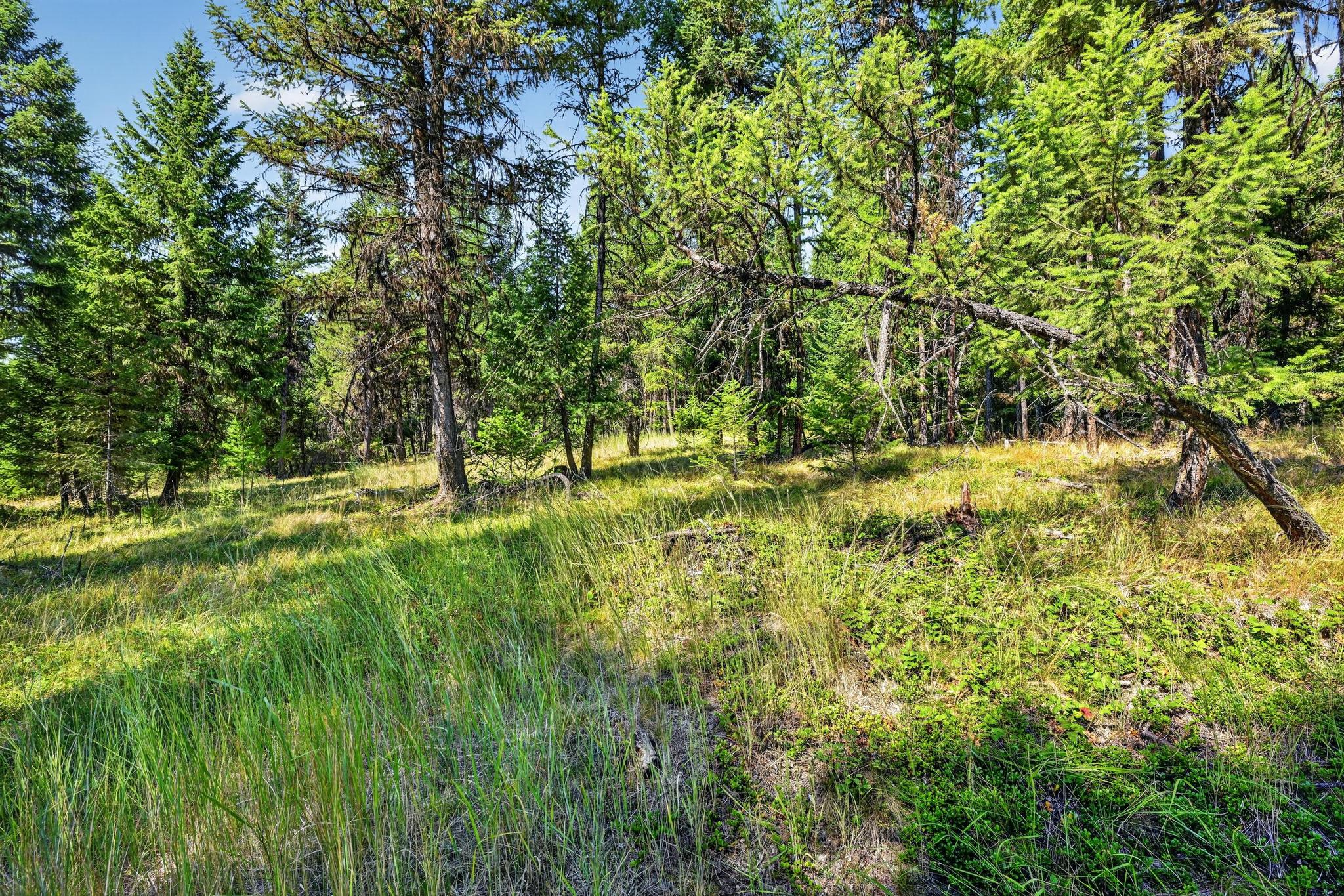 Lot 3 Forest Ridge Road Property Photo 12
