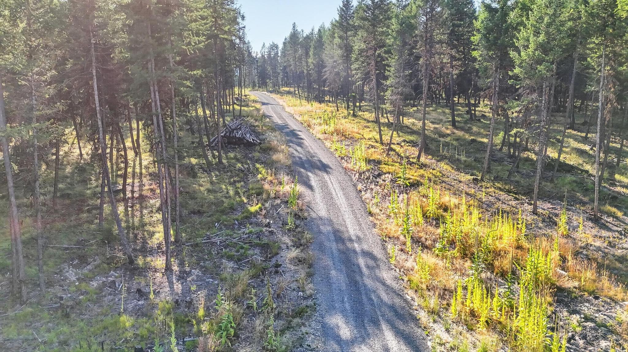 Lot 3 Forest Ridge Road Property Photo 15