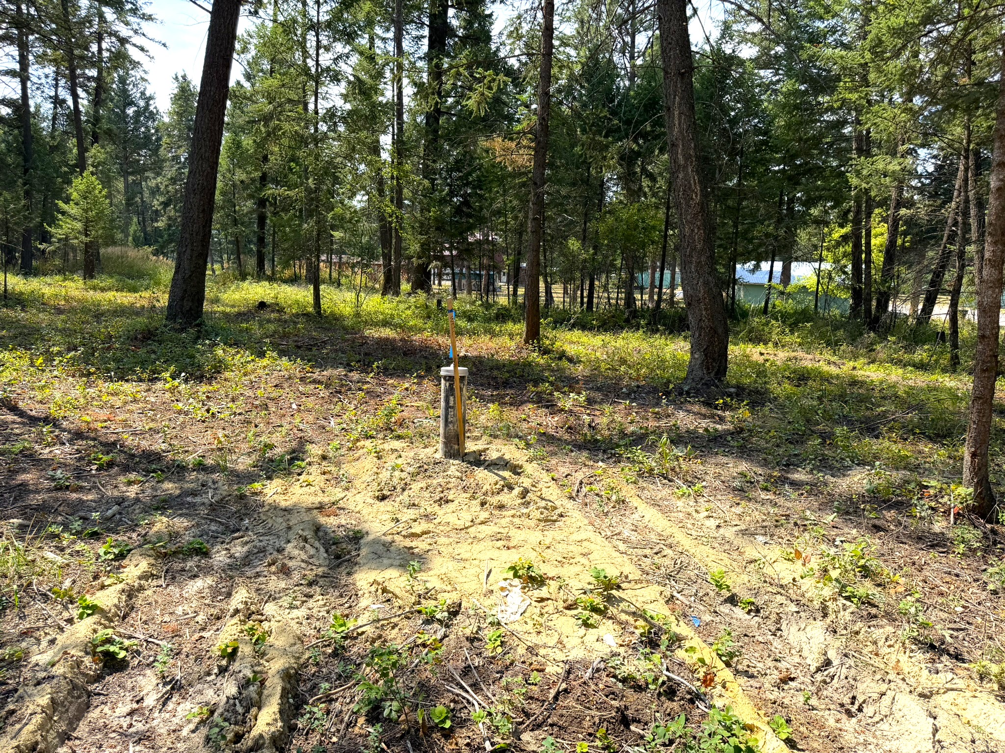 230 Cottage Lane Property Photo 2