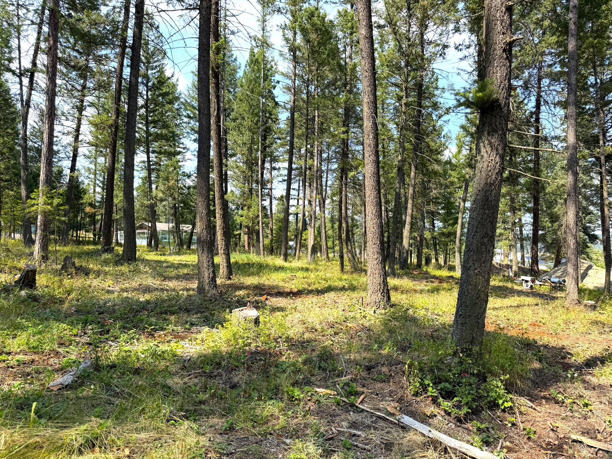 230 Cottage Lane Property Photo 8